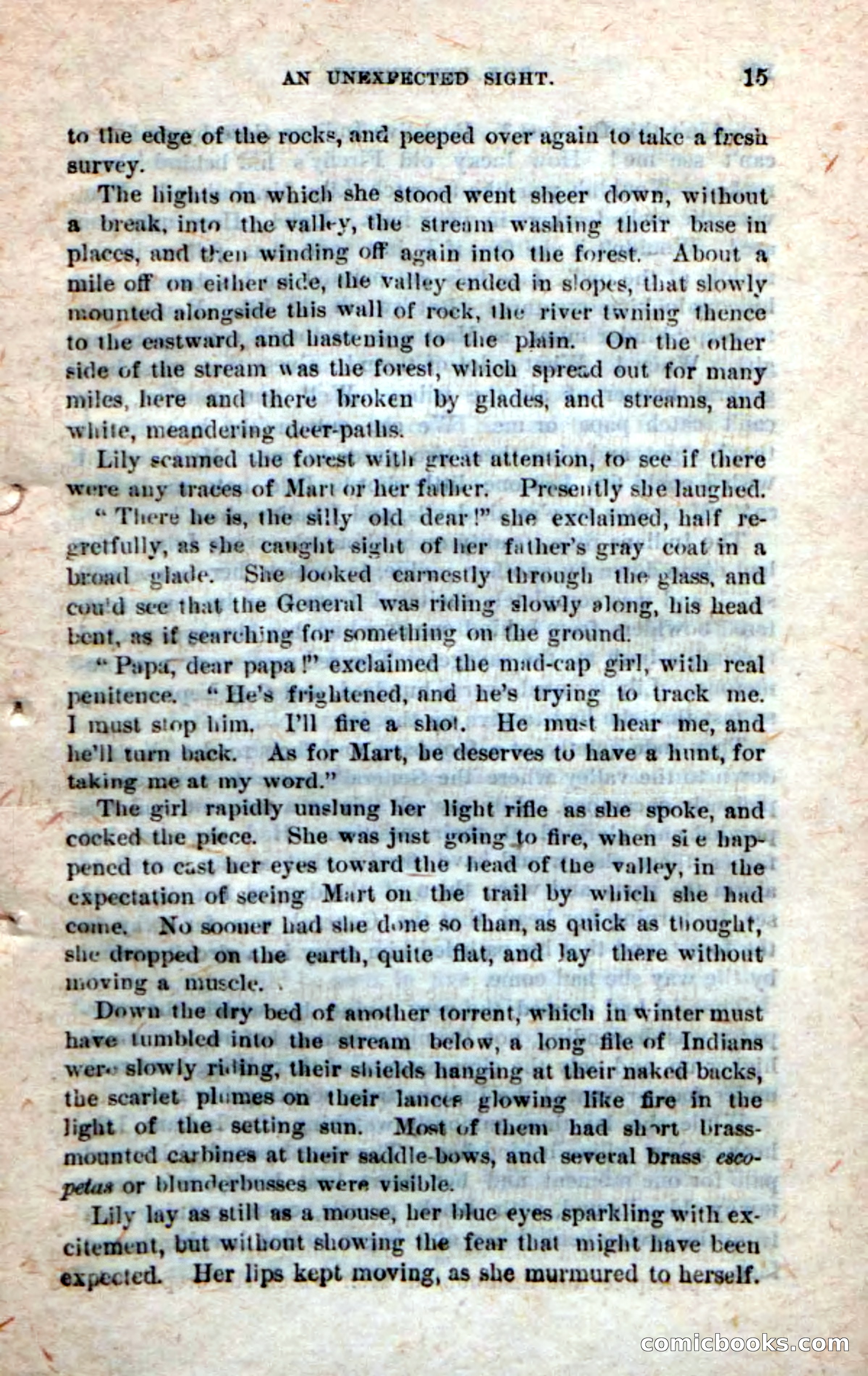 Beadle's Dime Novels No. 245: The Red Prince — page 13 of 100