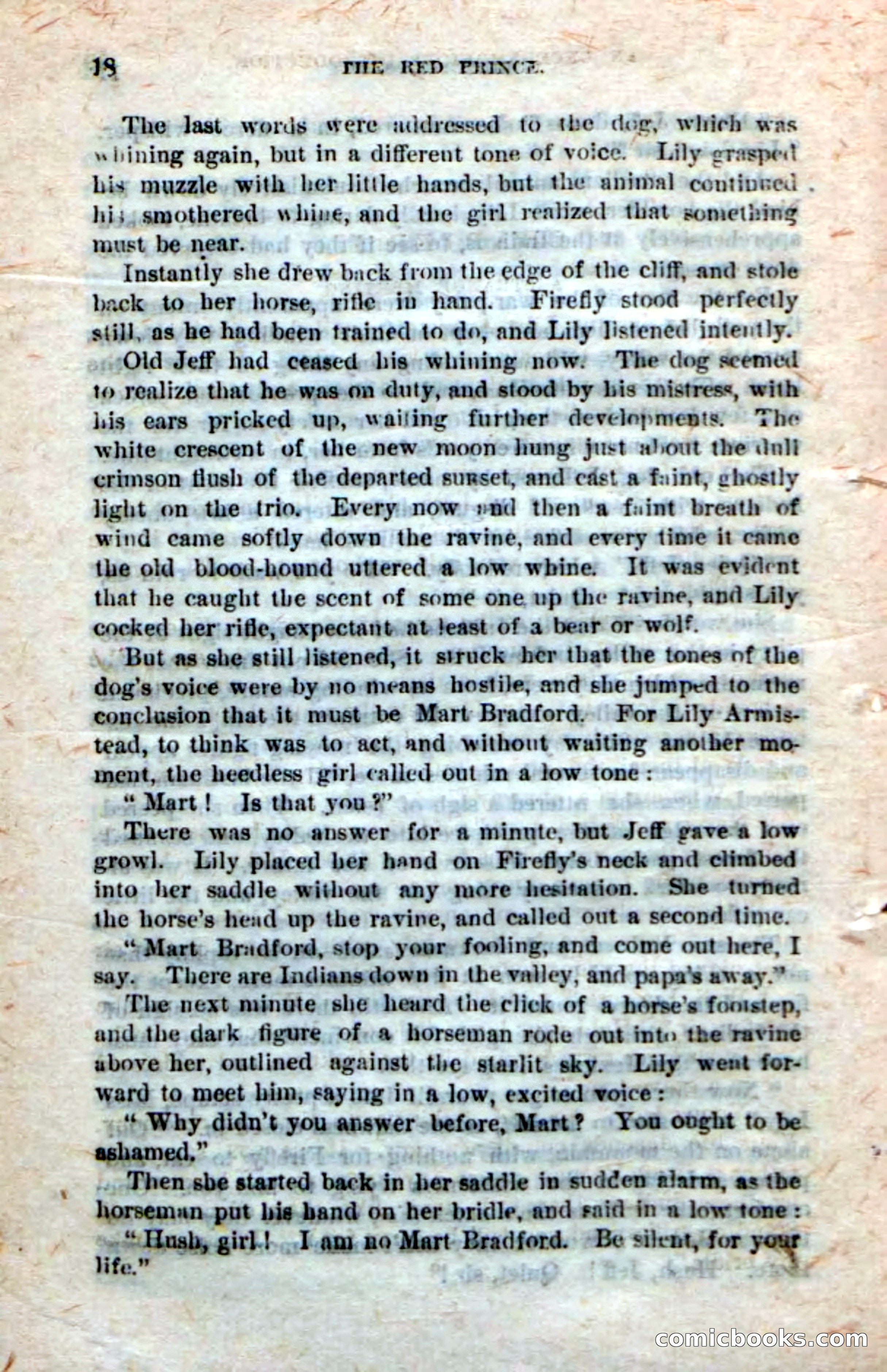 Beadle's Dime Novels No. 245: The Red Prince — page 16 of 100