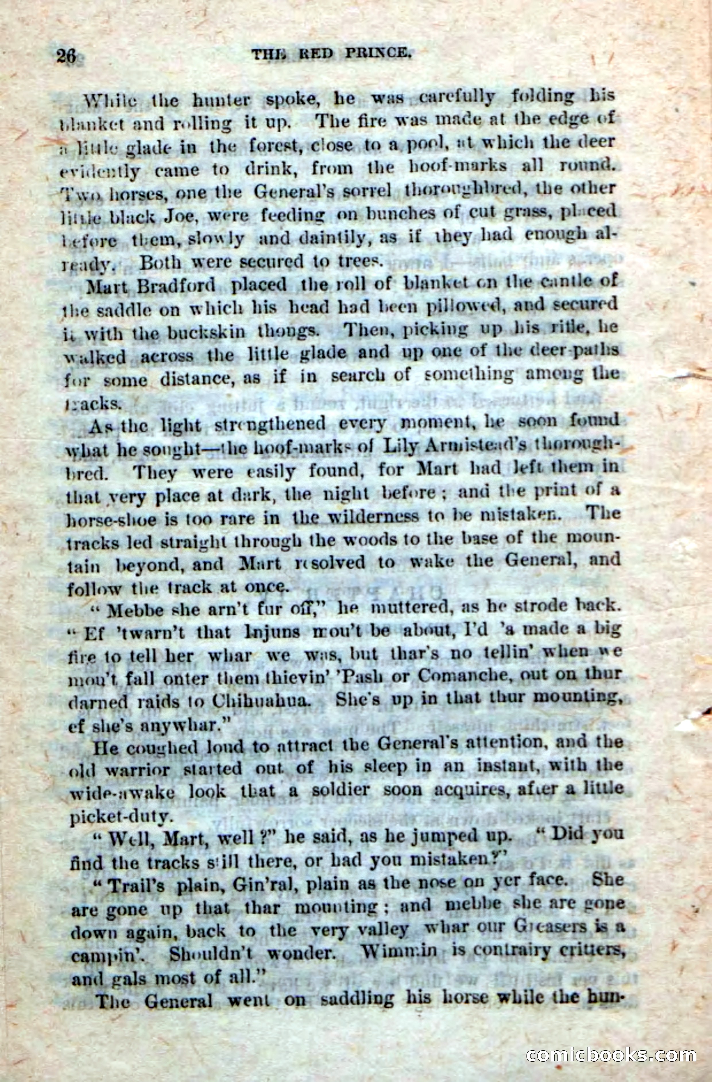 Beadle's Dime Novels No. 245: The Red Prince — page 24 of 100