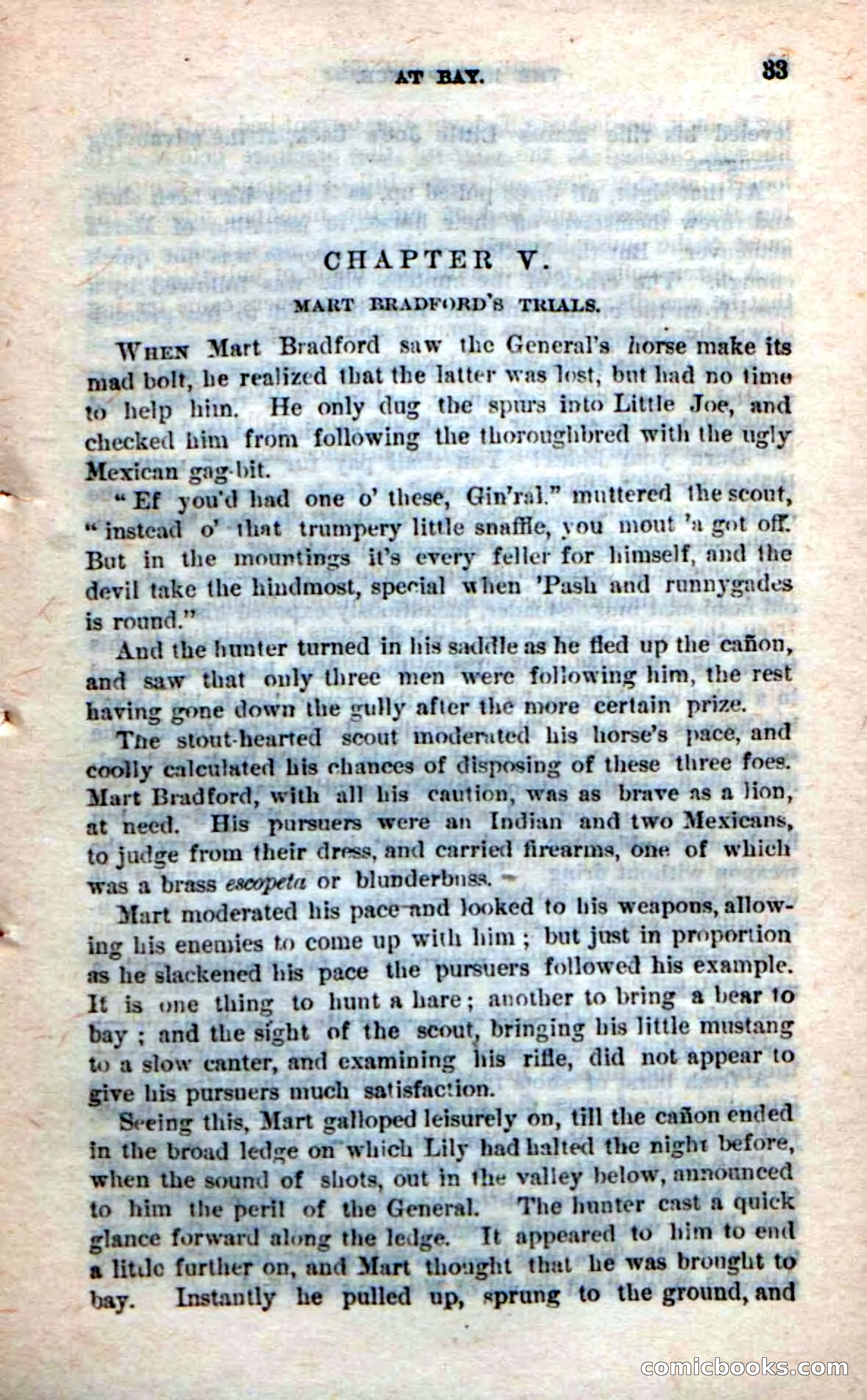 Beadle's Dime Novels No. 245: The Red Prince — page 31 of 100