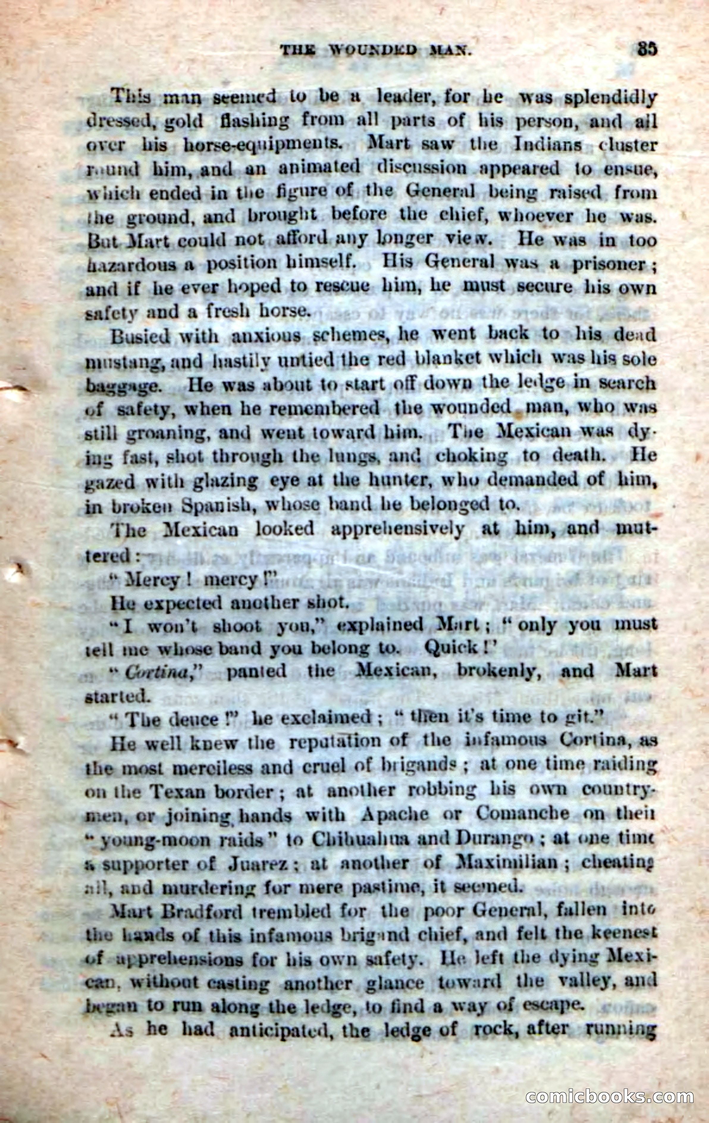 Beadle's Dime Novels No. 245: The Red Prince — page 33 of 100