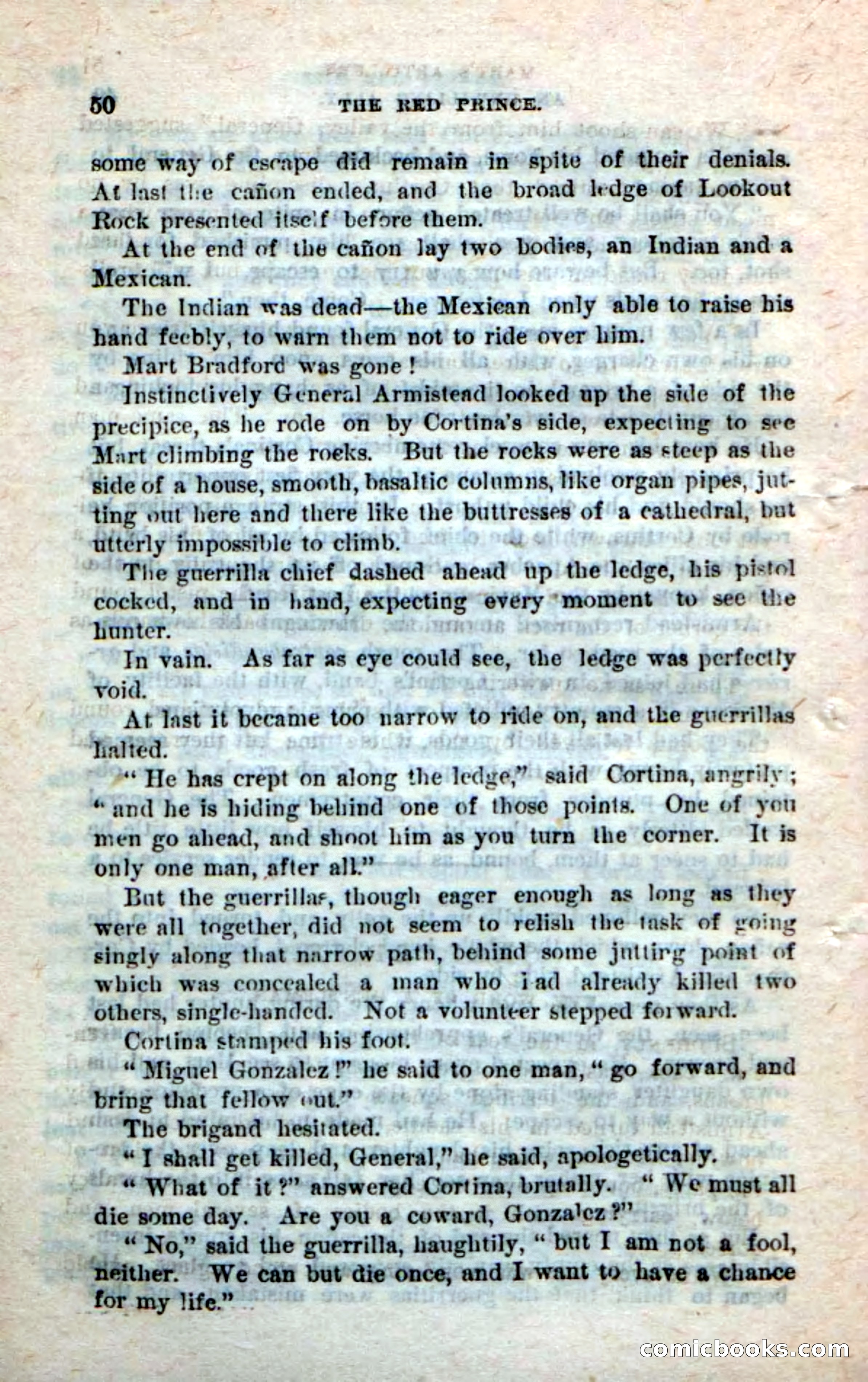 Beadle's Dime Novels No. 245: The Red Prince — page 48 of 100