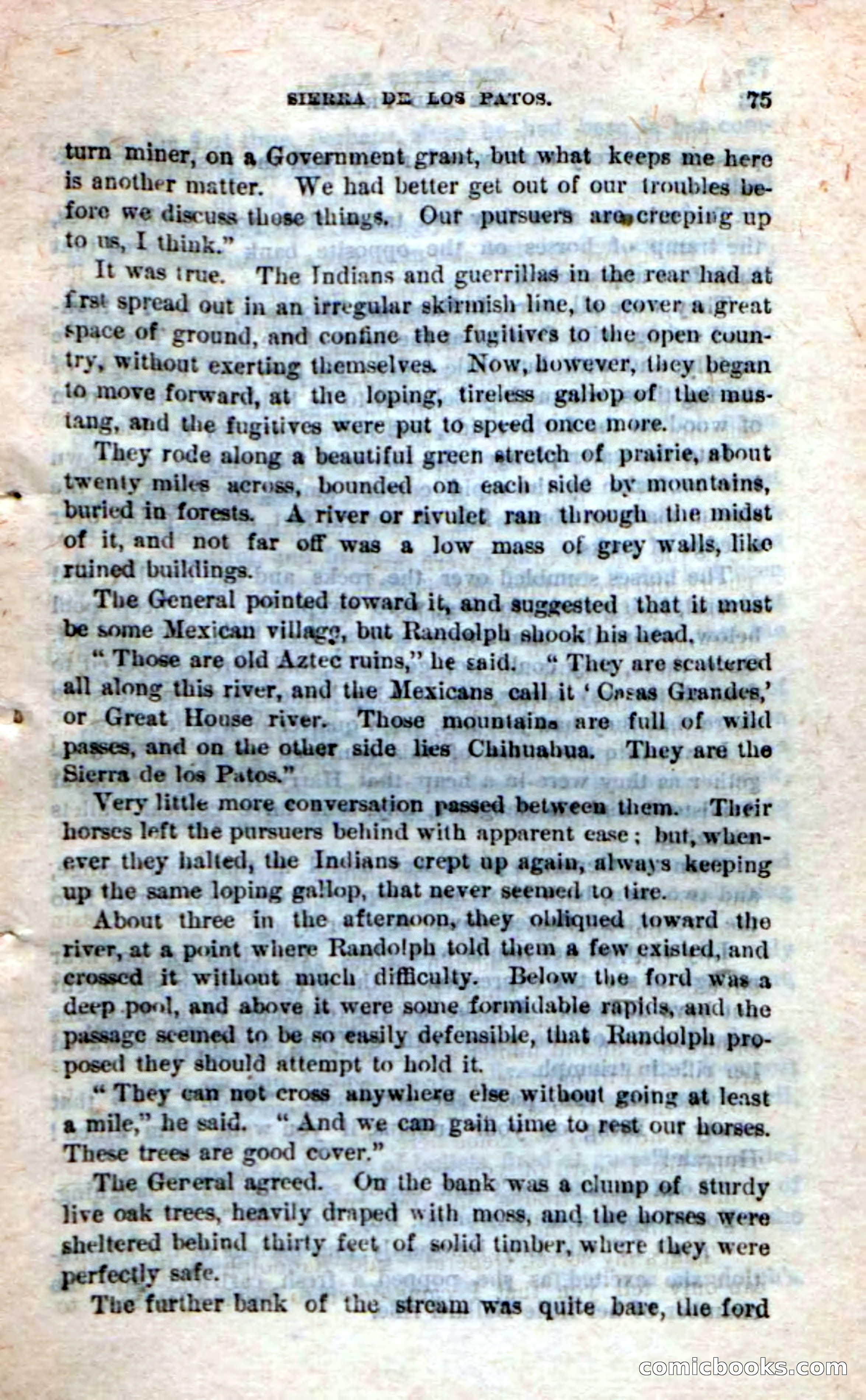 Beadle's Dime Novels No. 245: The Red Prince — page 73 of 100