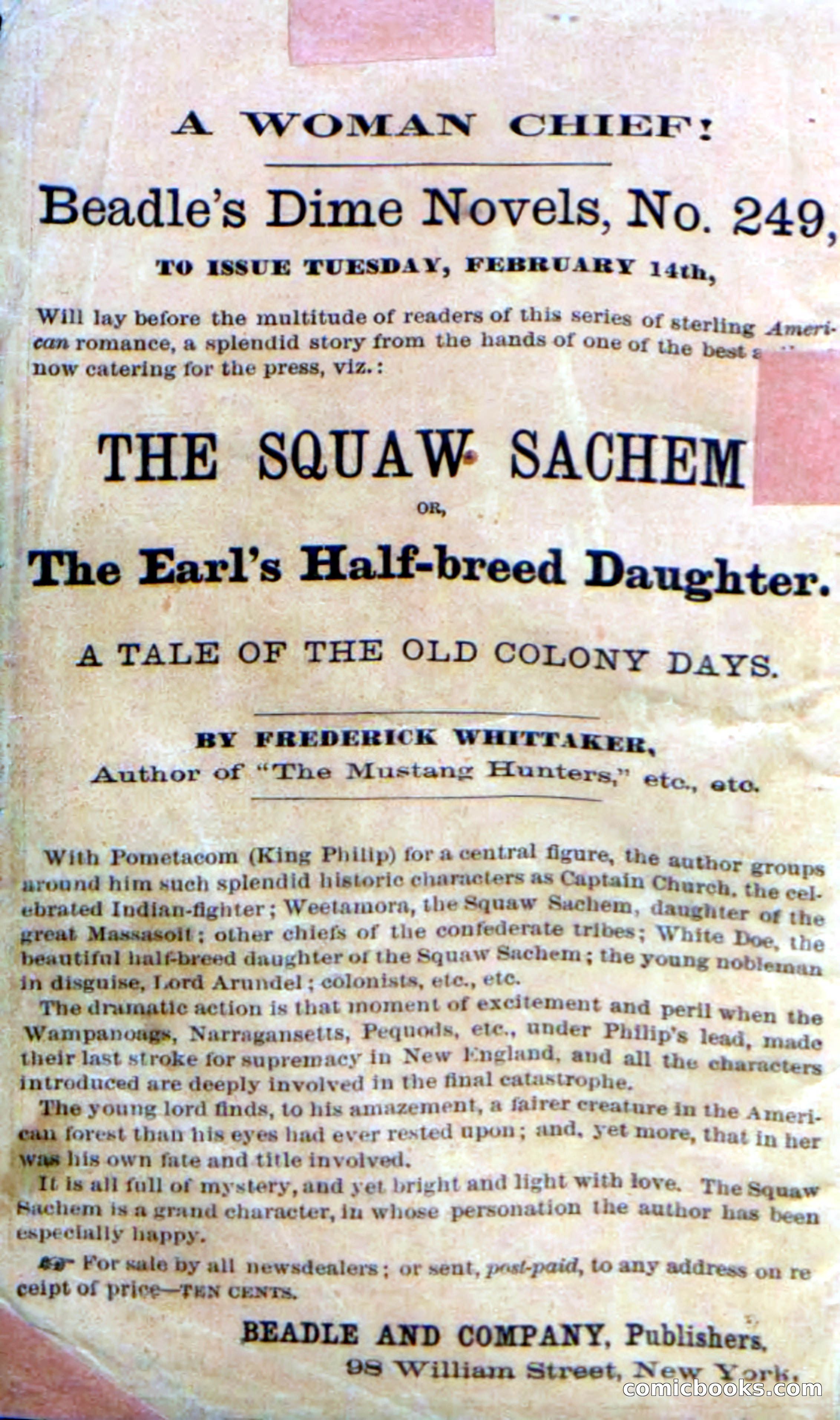 Beadle's Dime Novels No. 248: Red Lightning — page 2 of 100