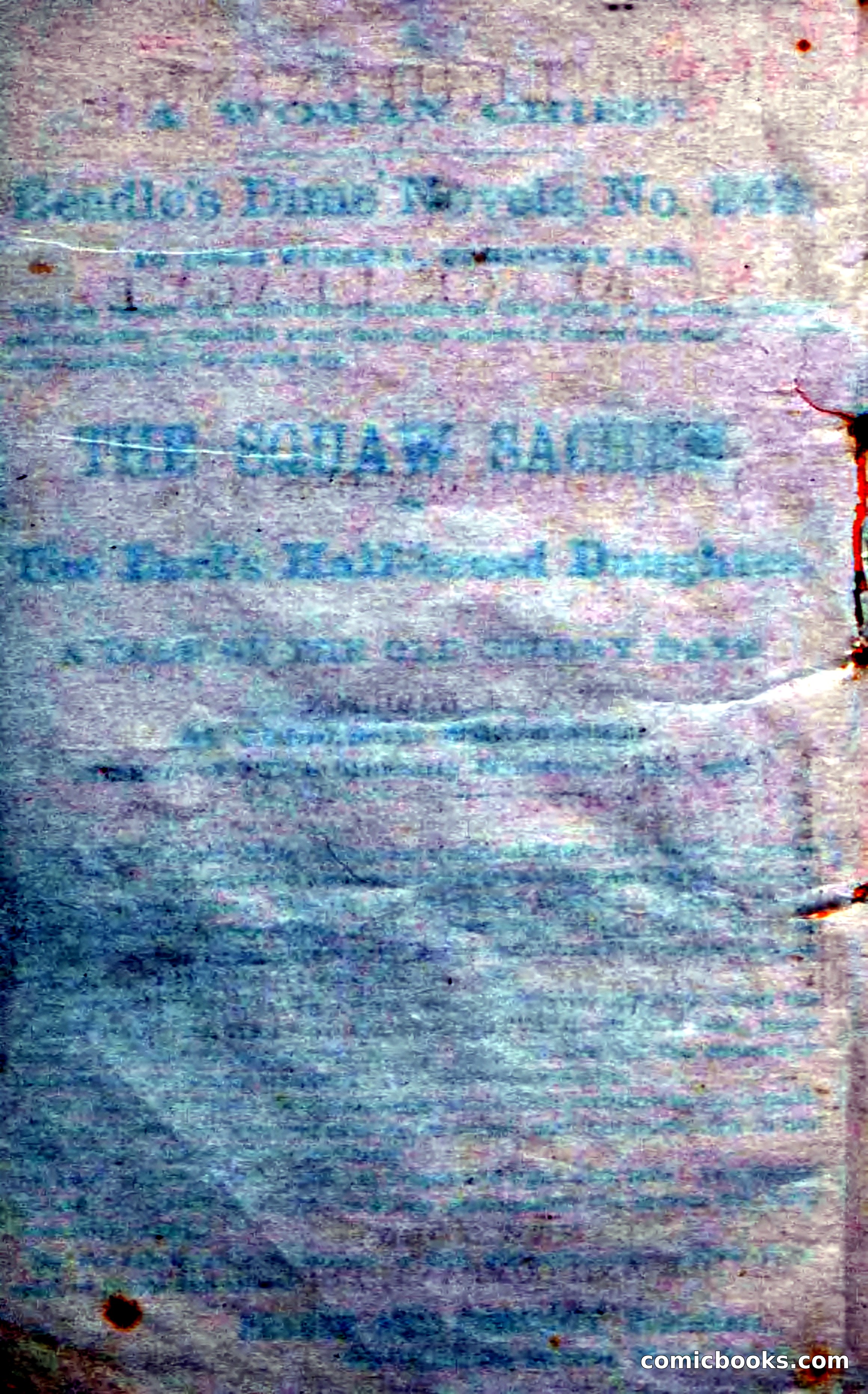 Beadle's Dime Novels No. 248: Red Lightning — page 4 of 100