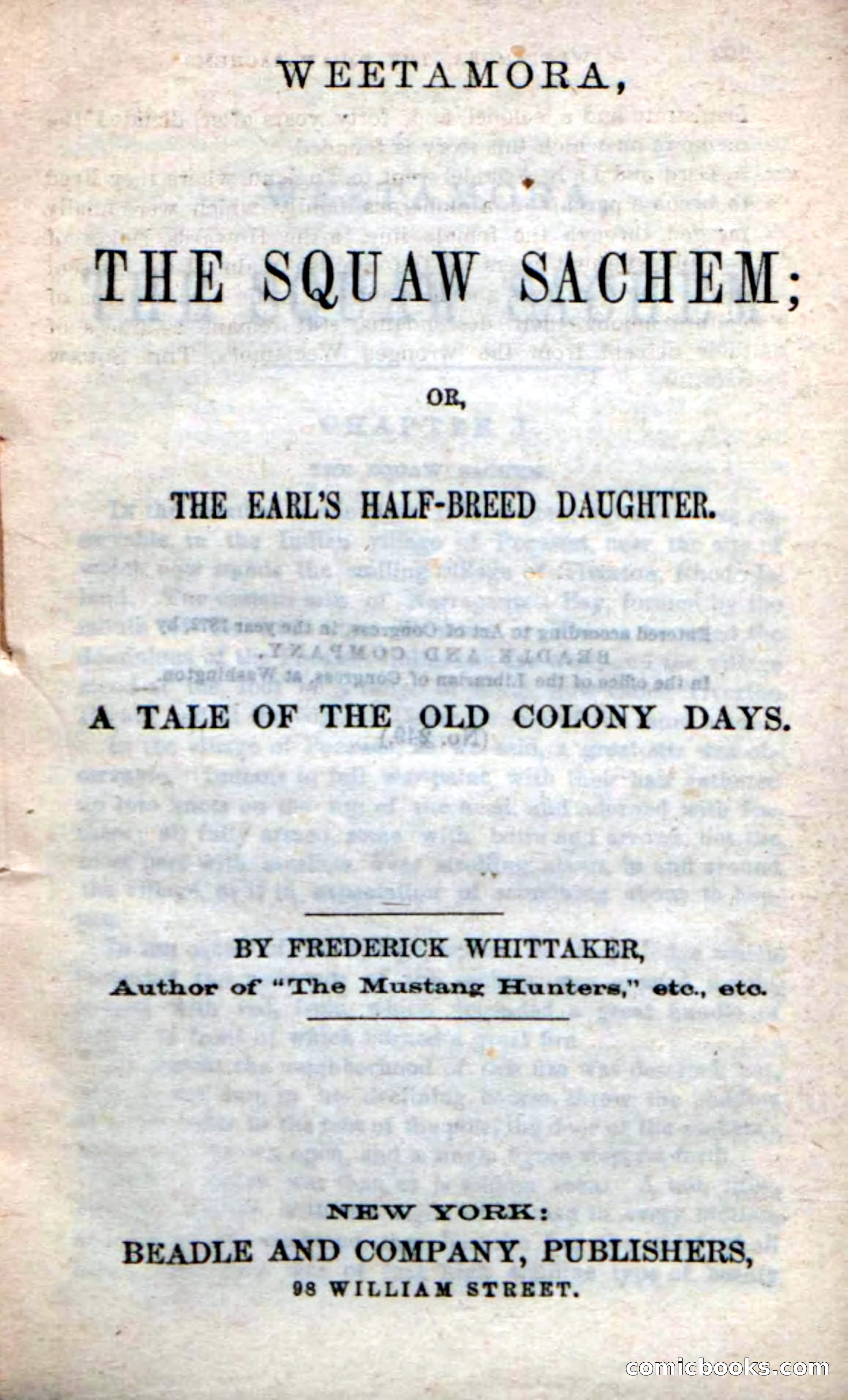 Beadle's Dime Novels No. 249: The Squaw Sachem — page 3 of 100