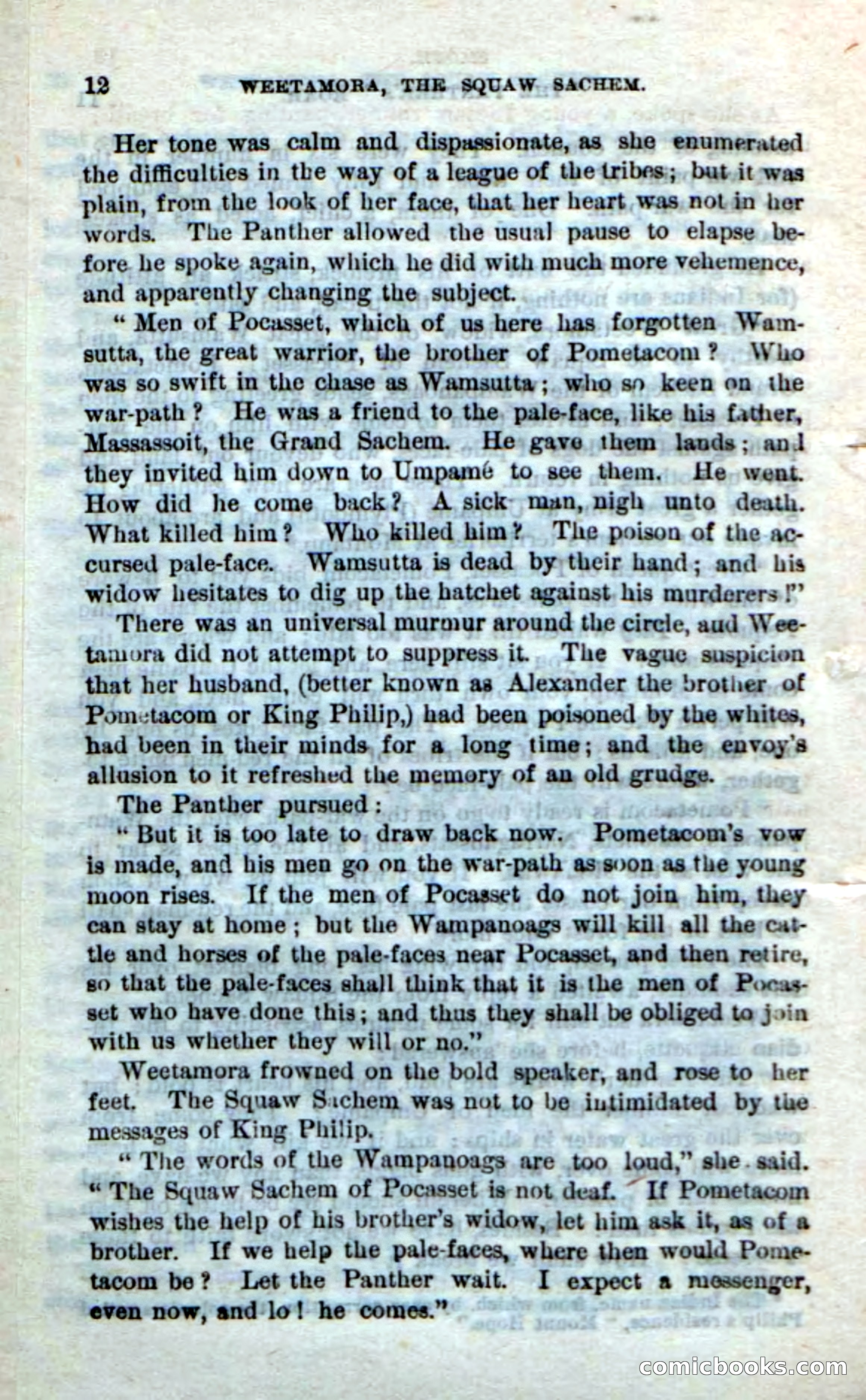 Beadle's Dime Novels No. 249: The Squaw Sachem — page 8 of 100