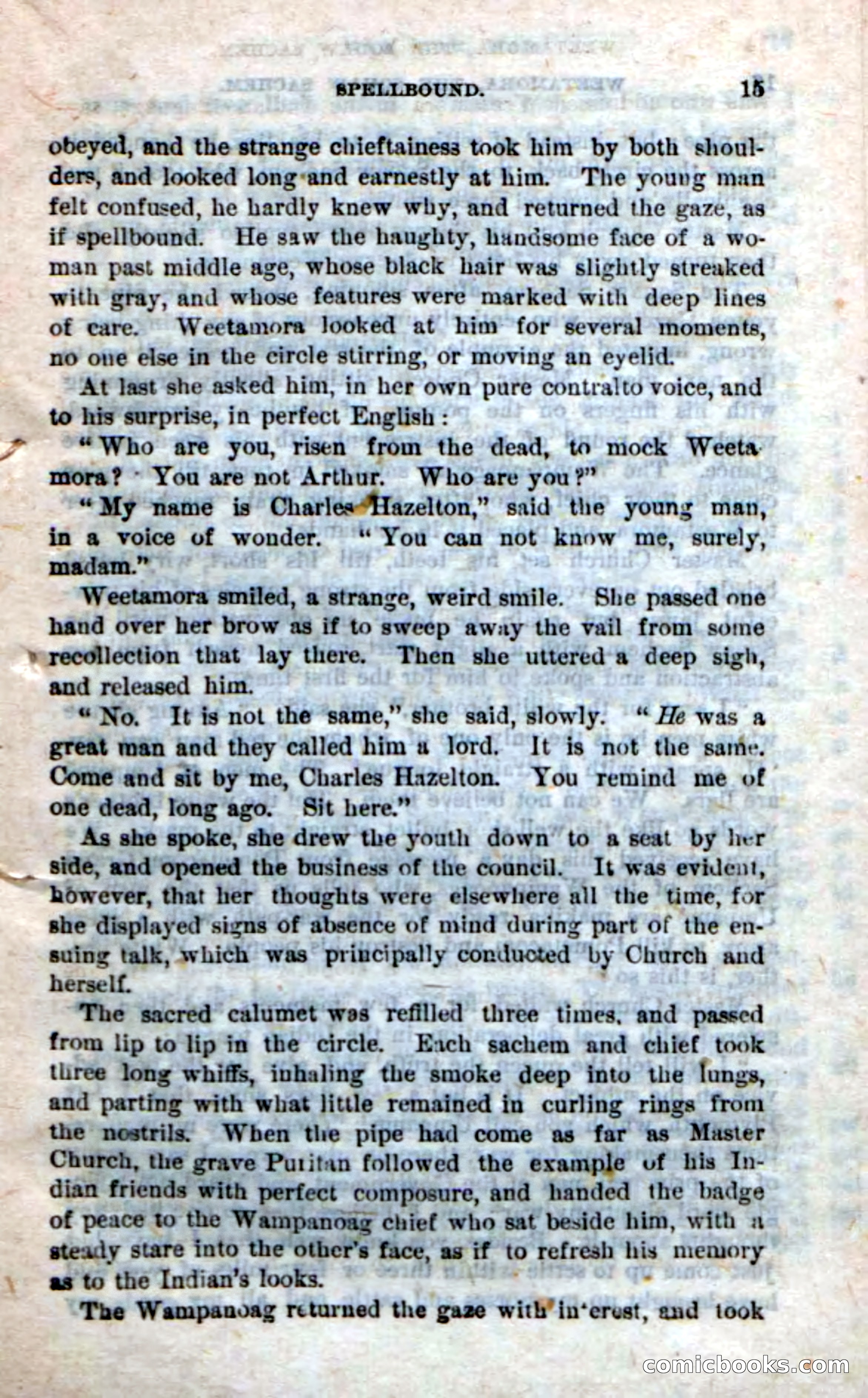Beadle's Dime Novels No. 249: The Squaw Sachem — page 11 of 100