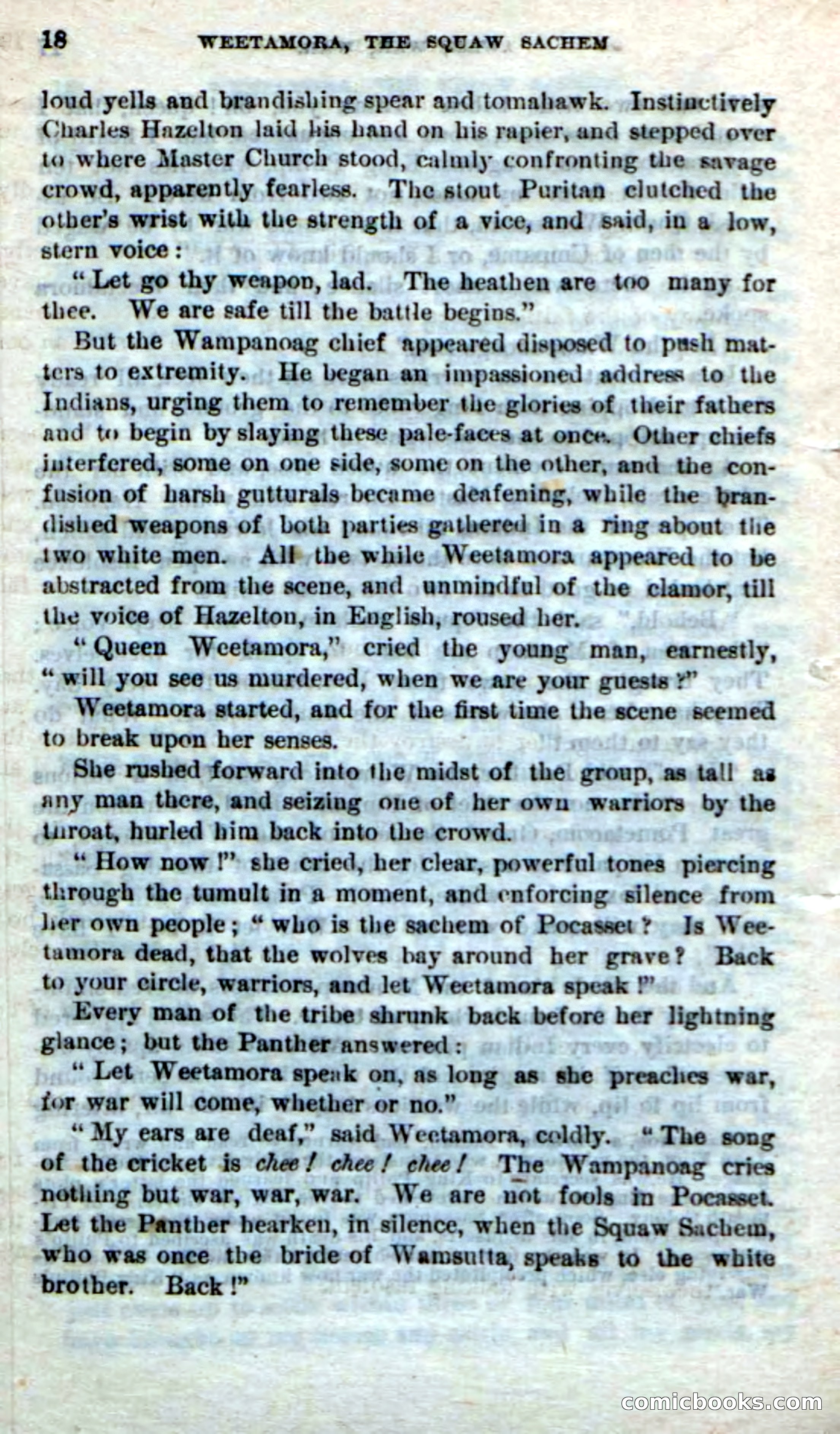 Beadle's Dime Novels No. 249: The Squaw Sachem — page 14 of 100