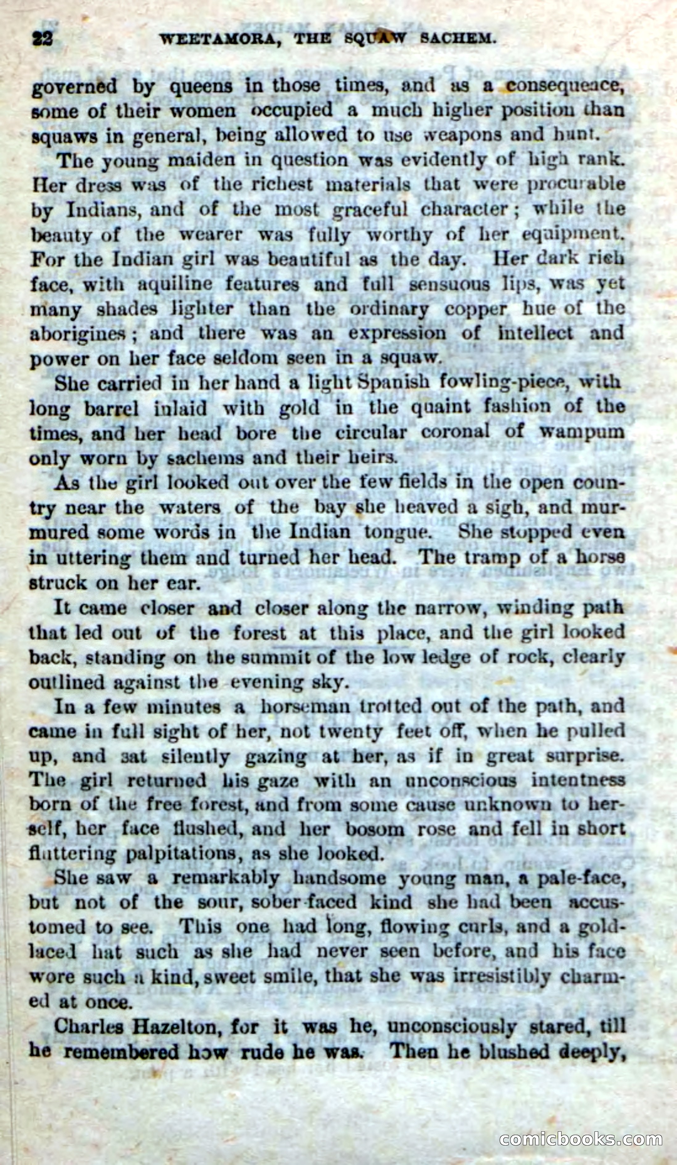 Beadle's Dime Novels No. 249: The Squaw Sachem — page 18 of 100