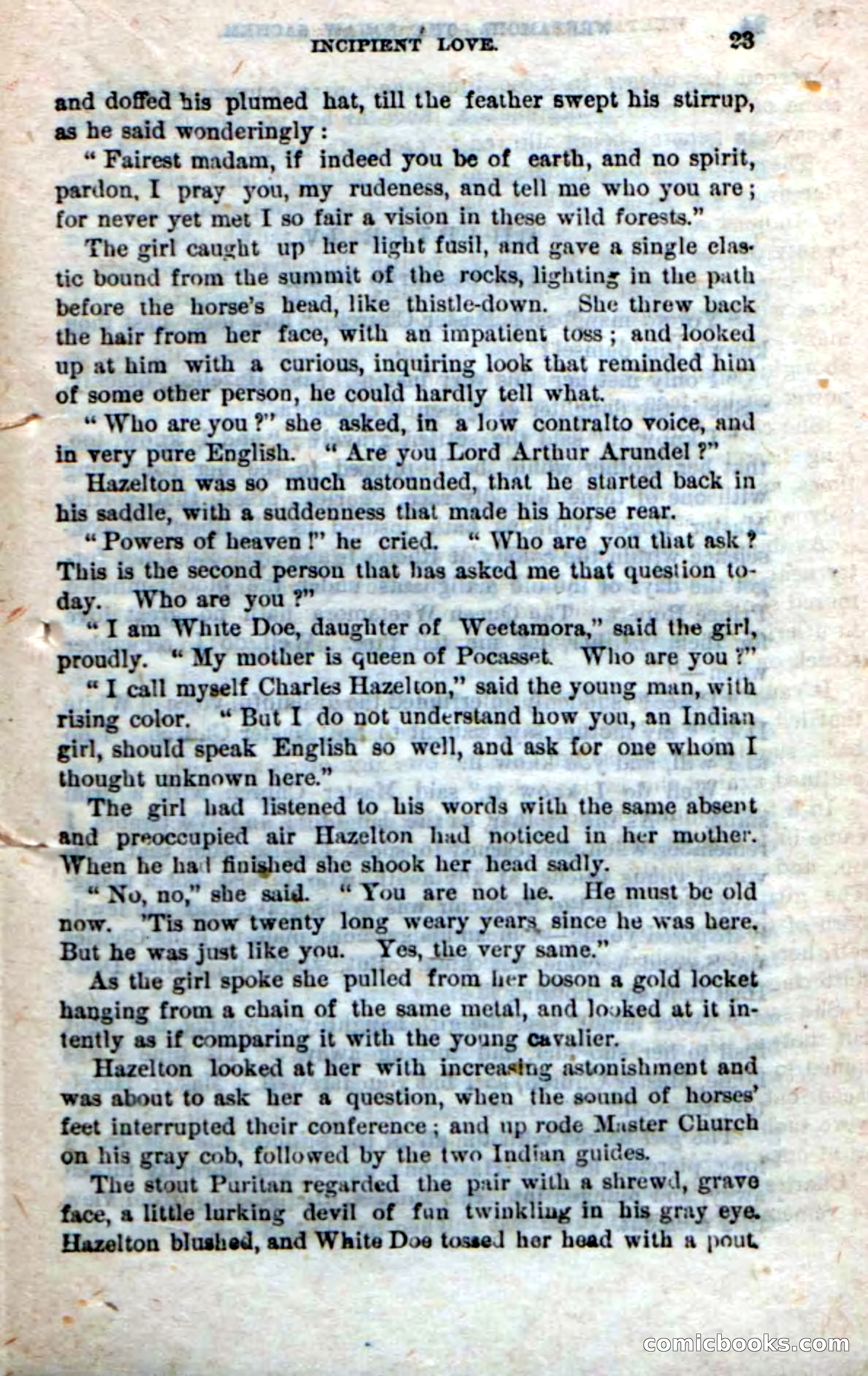 Beadle's Dime Novels No. 249: The Squaw Sachem — page 19 of 100