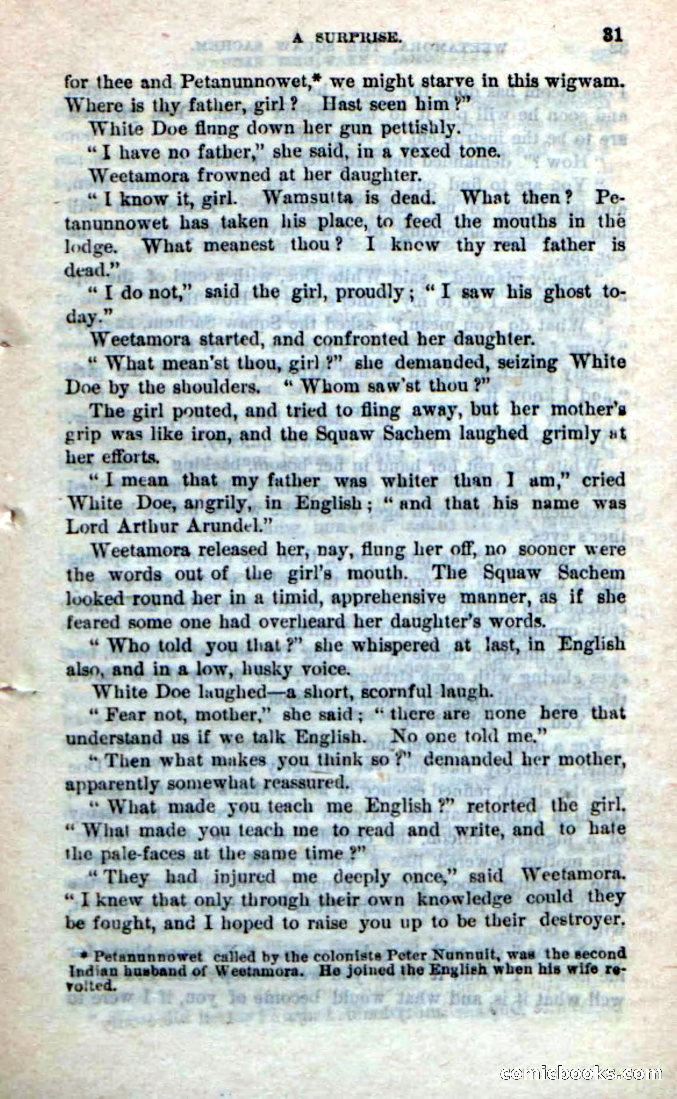 Beadle's Dime Novels No. 249: The Squaw Sachem — page 27 of 100