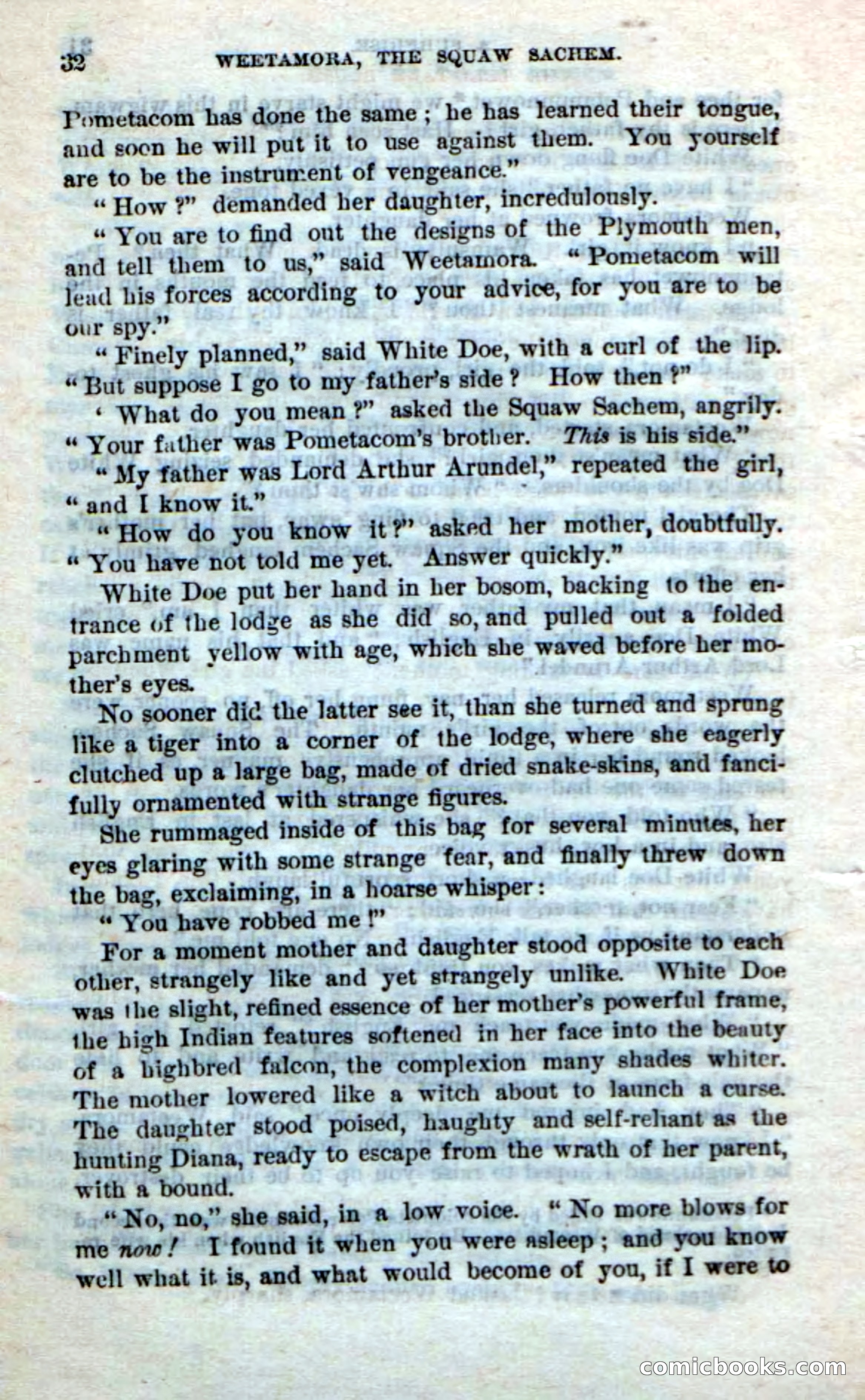 Beadle's Dime Novels No. 249: The Squaw Sachem — page 28 of 100