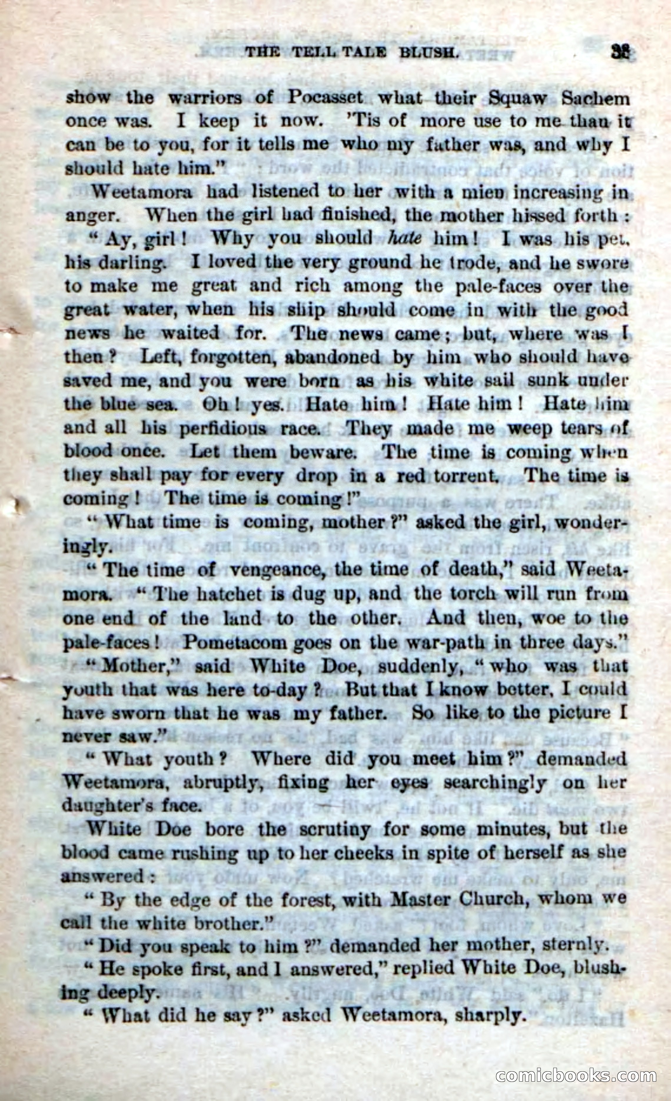 Beadle's Dime Novels No. 249: The Squaw Sachem — page 29 of 100