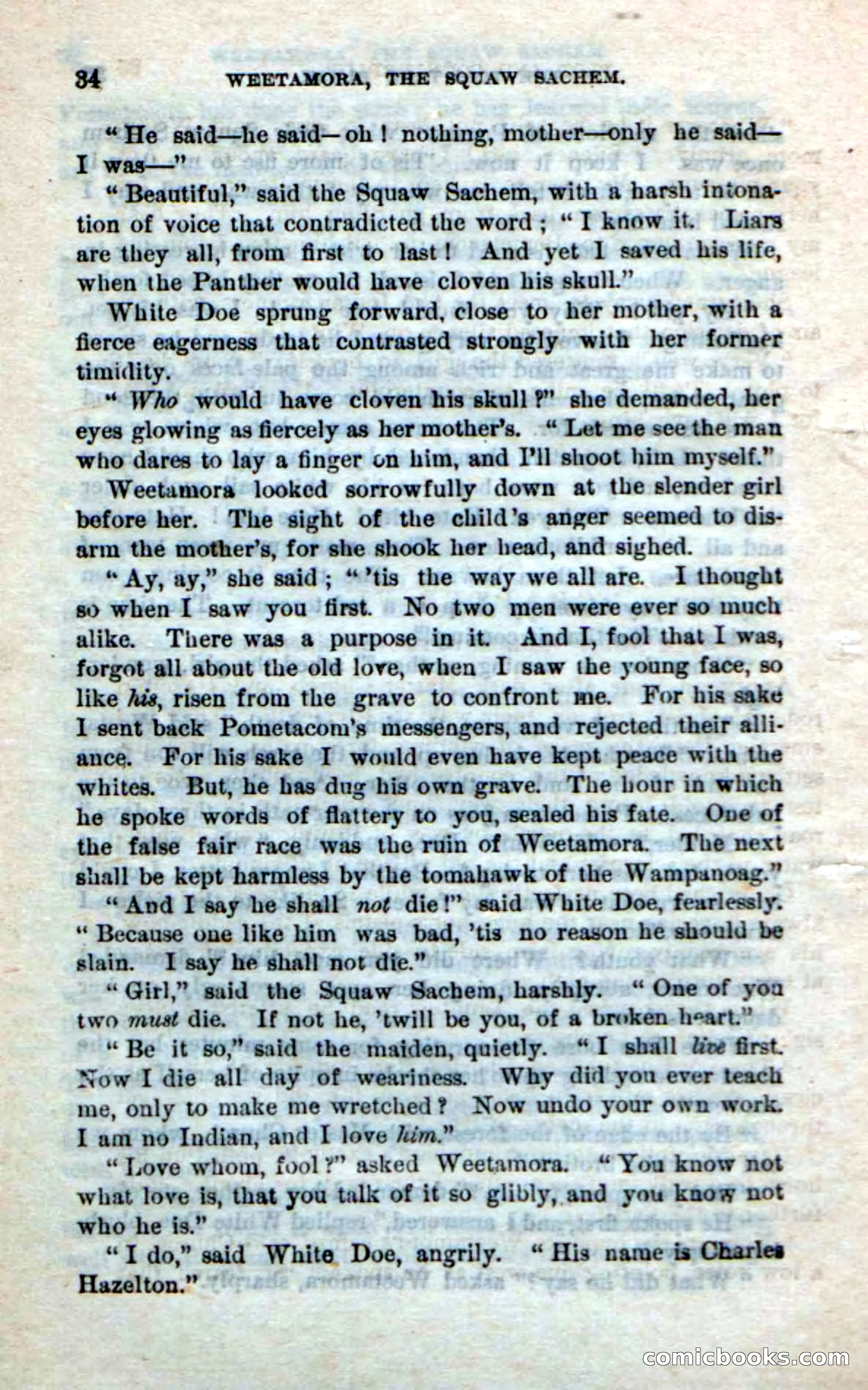 Beadle's Dime Novels No. 249: The Squaw Sachem — page 30 of 100