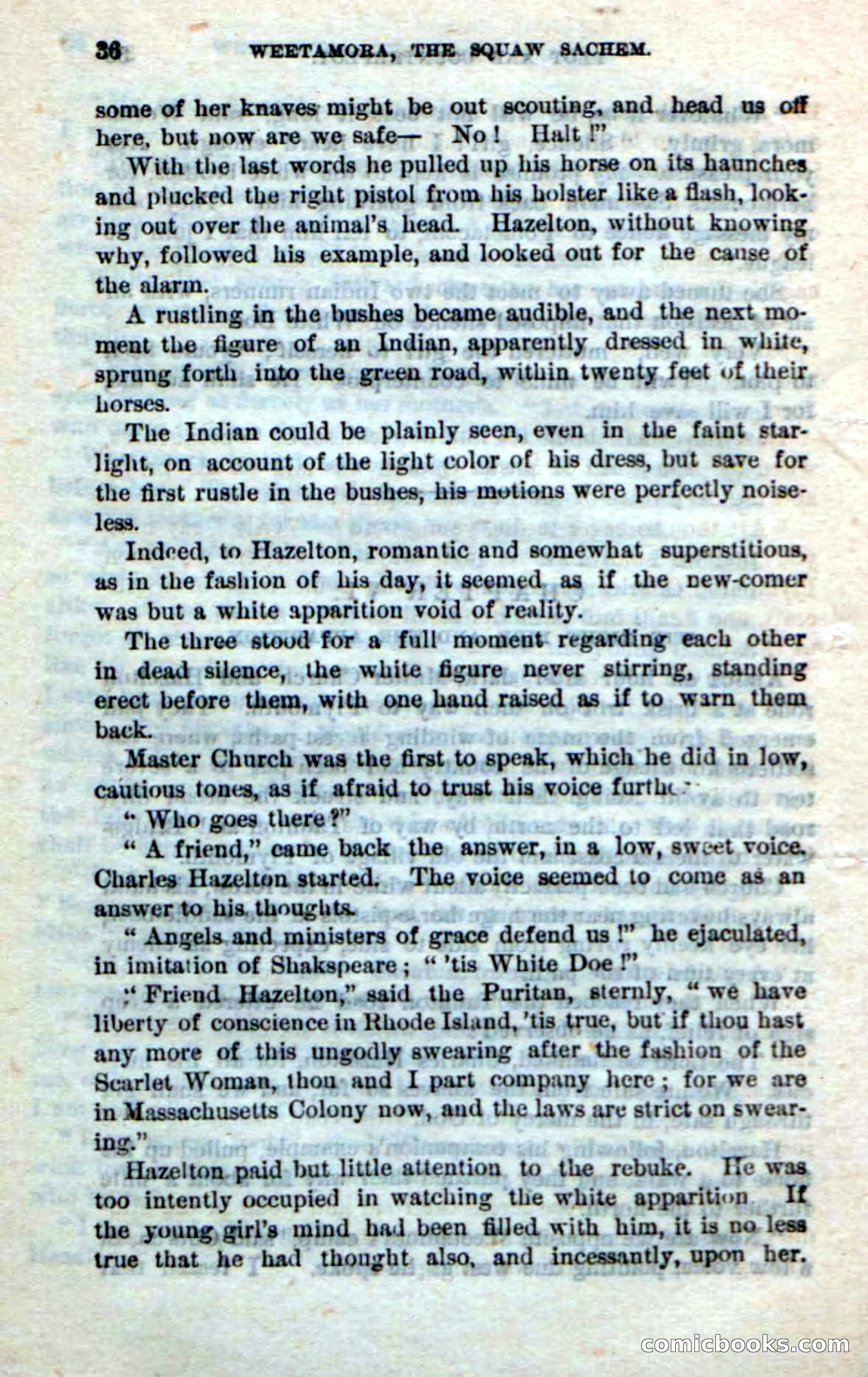 Beadle's Dime Novels No. 249: The Squaw Sachem — page 32 of 100