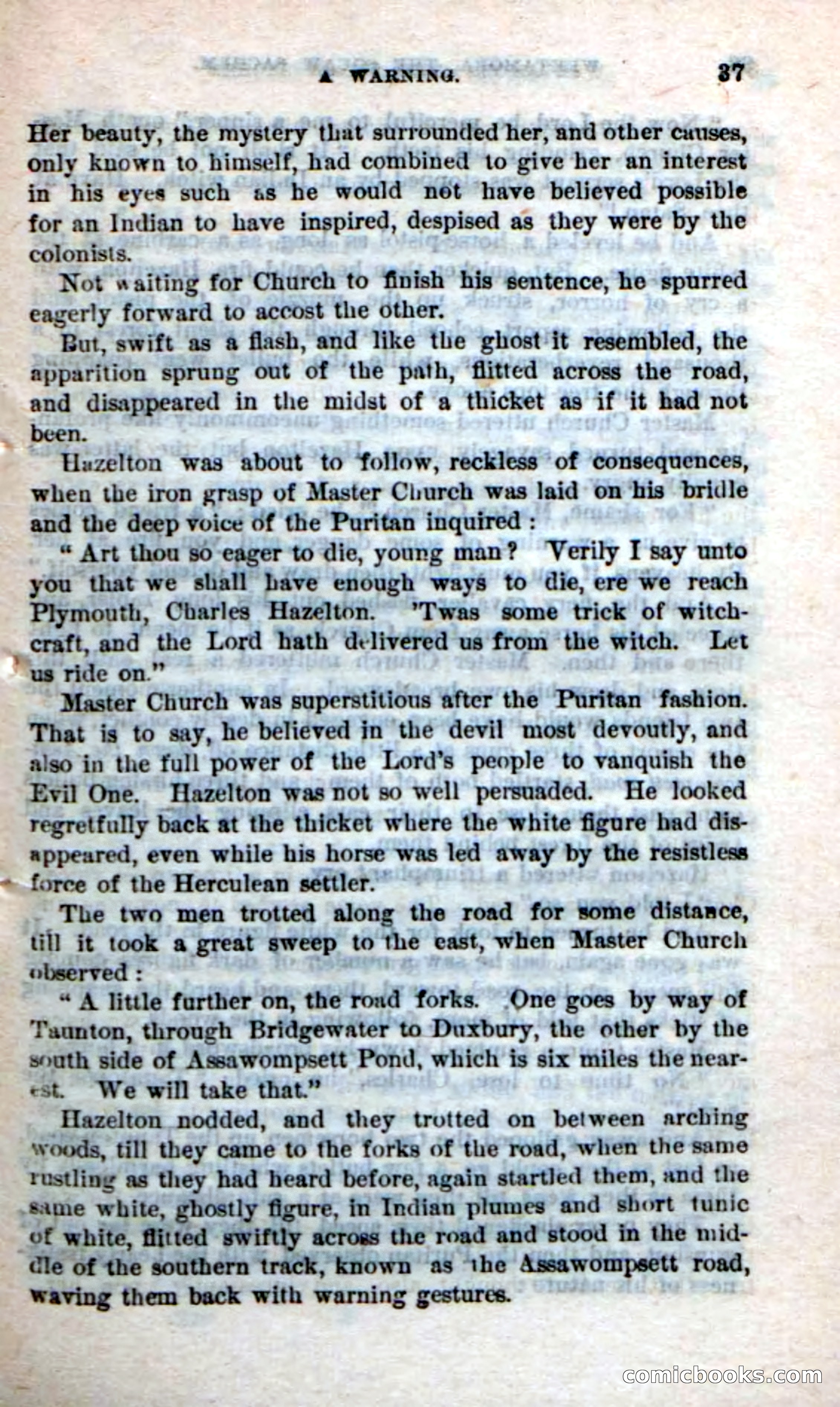 Beadle's Dime Novels No. 249: The Squaw Sachem — page 33 of 100