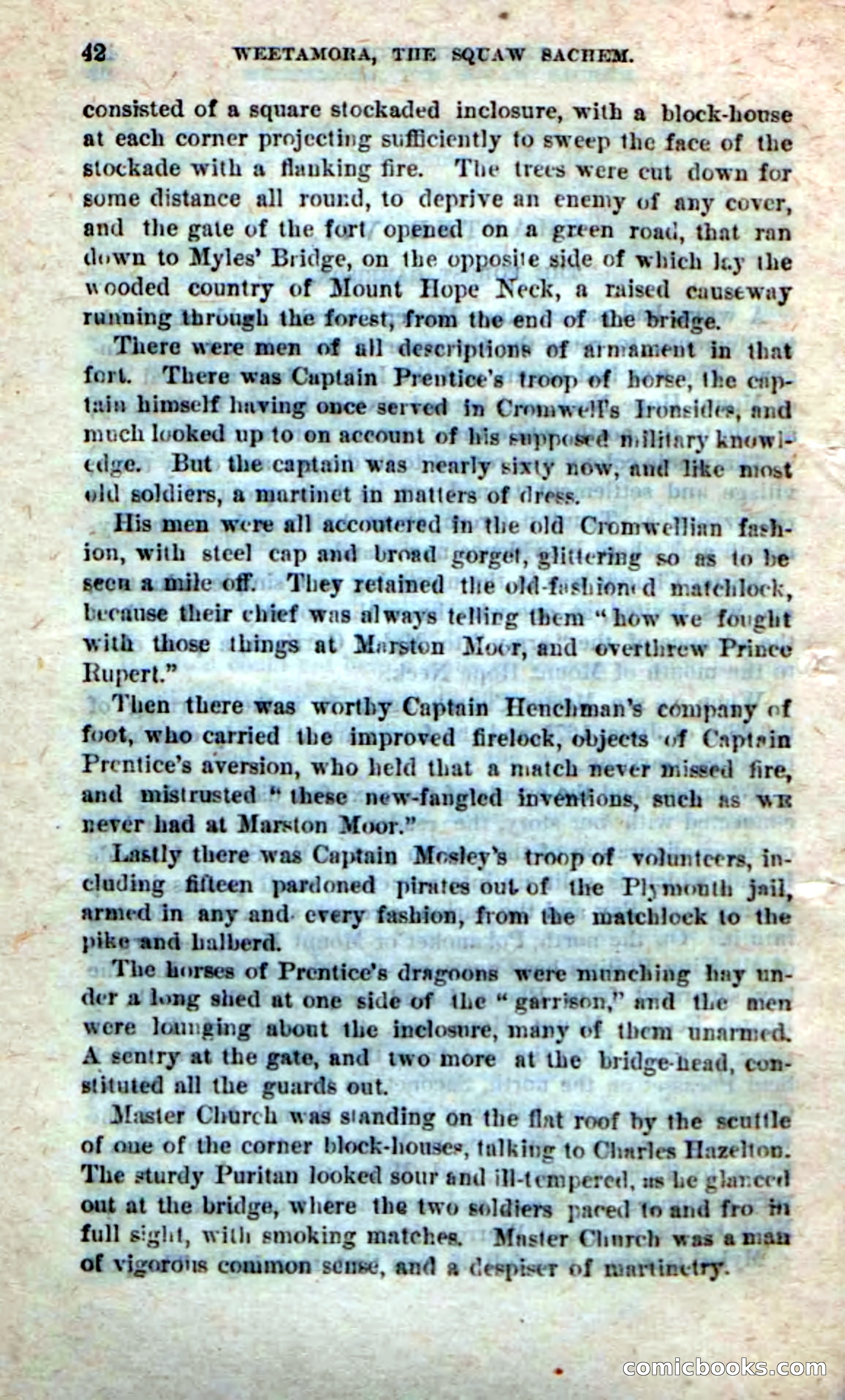 Beadle's Dime Novels No. 249: The Squaw Sachem — page 38 of 100
