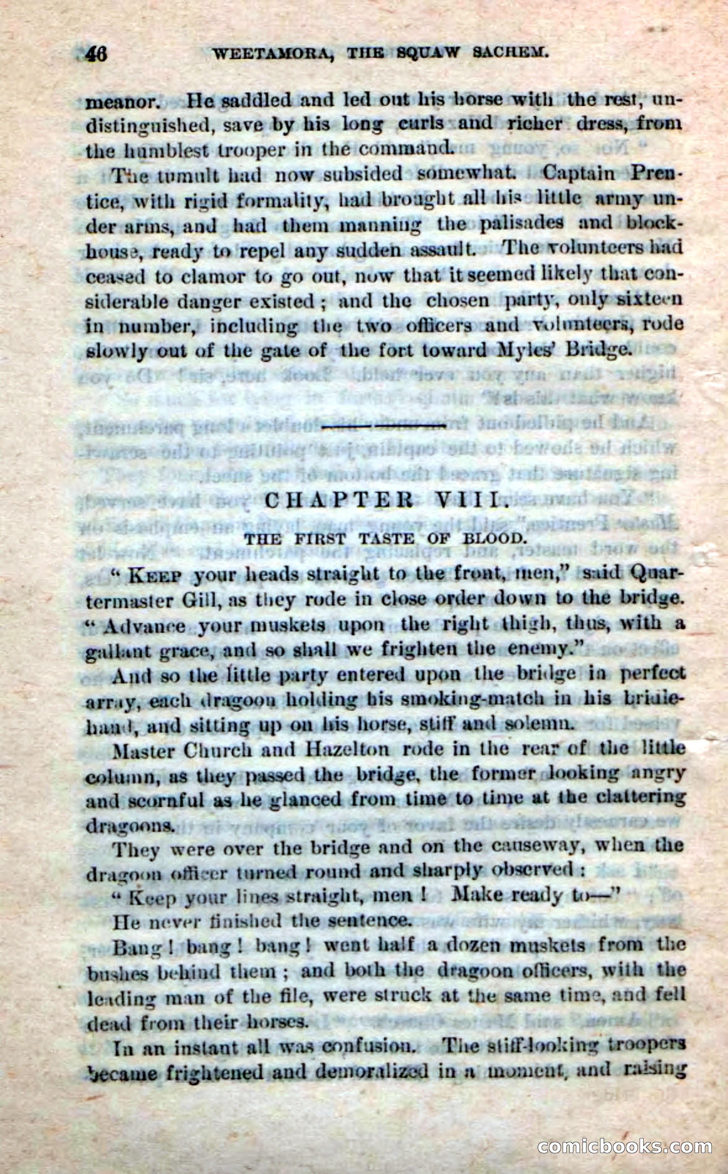 Beadle's Dime Novels No. 249: The Squaw Sachem — page 42 of 100