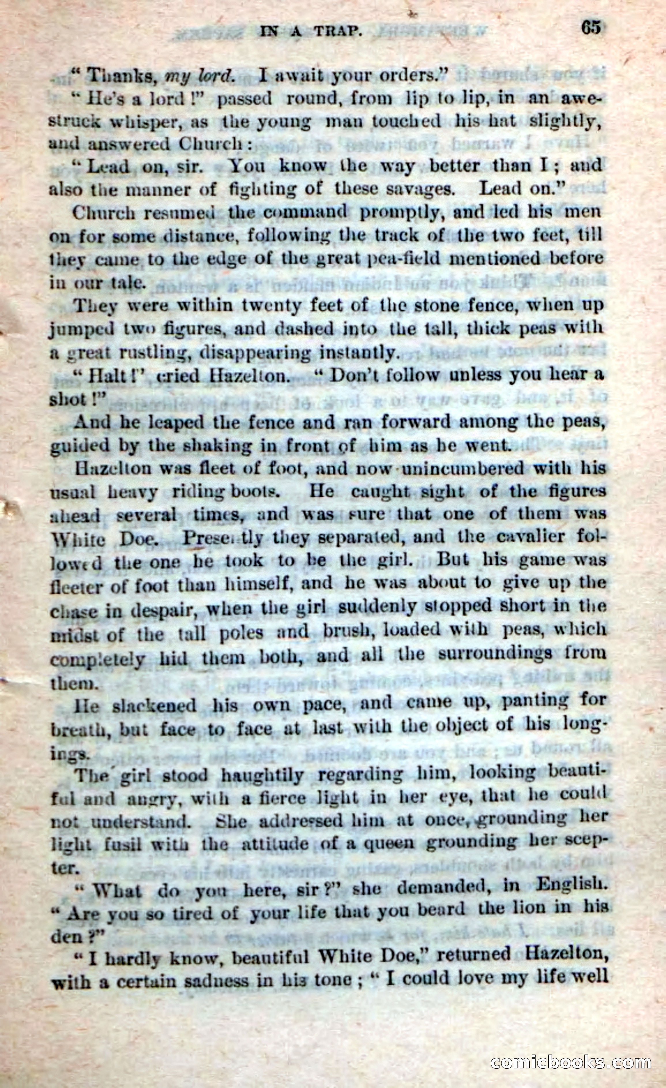 Beadle's Dime Novels No. 249: The Squaw Sachem — page 61 of 100