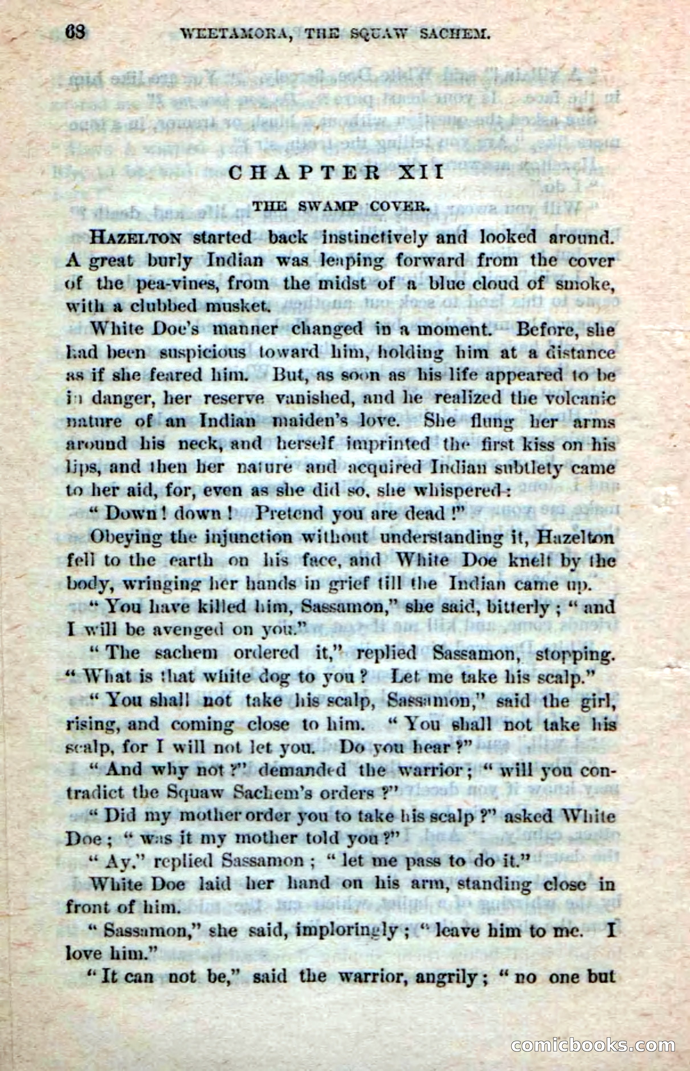 Beadle's Dime Novels No. 249: The Squaw Sachem — page 64 of 100