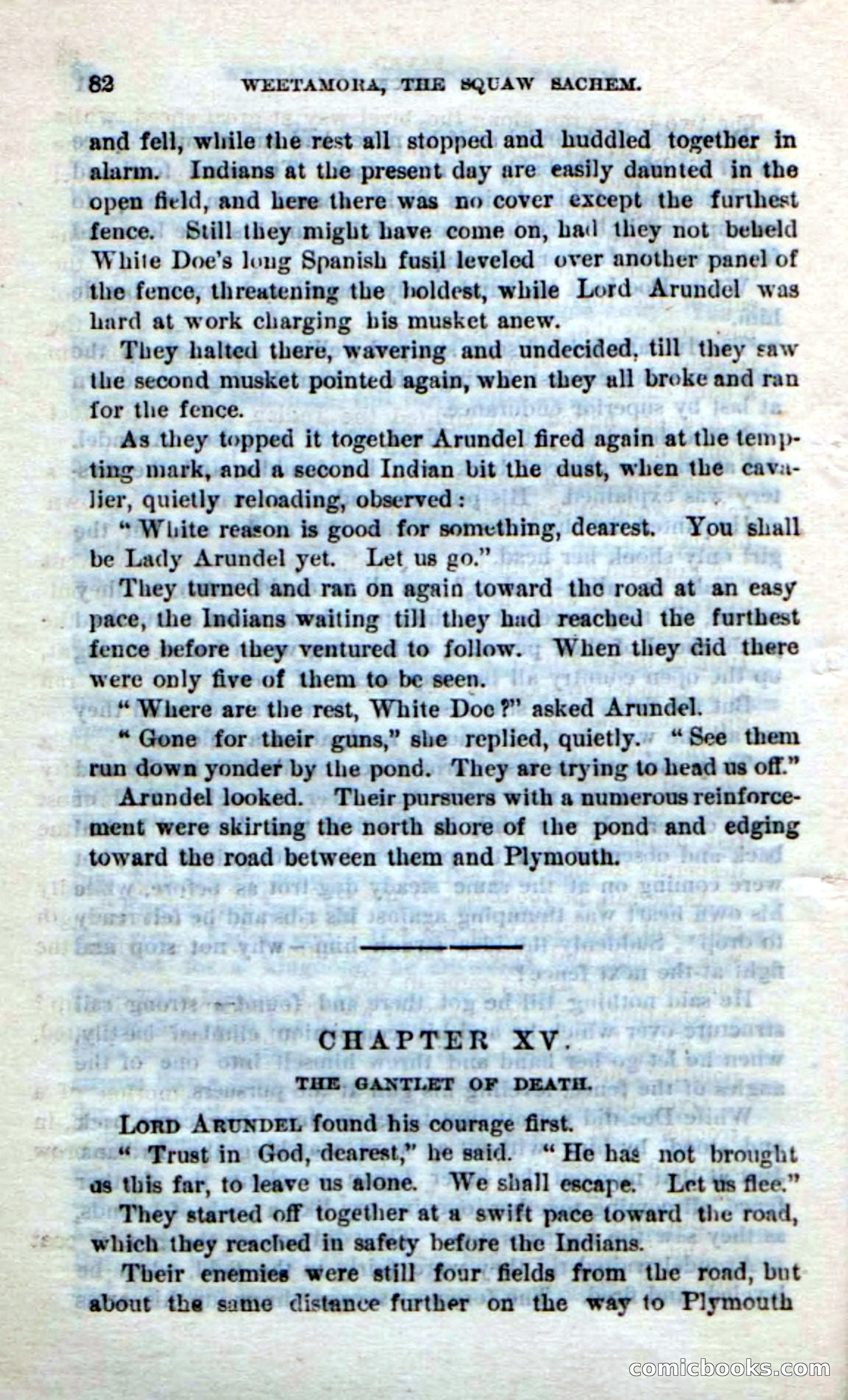 Beadle's Dime Novels No. 249: The Squaw Sachem — page 78 of 100