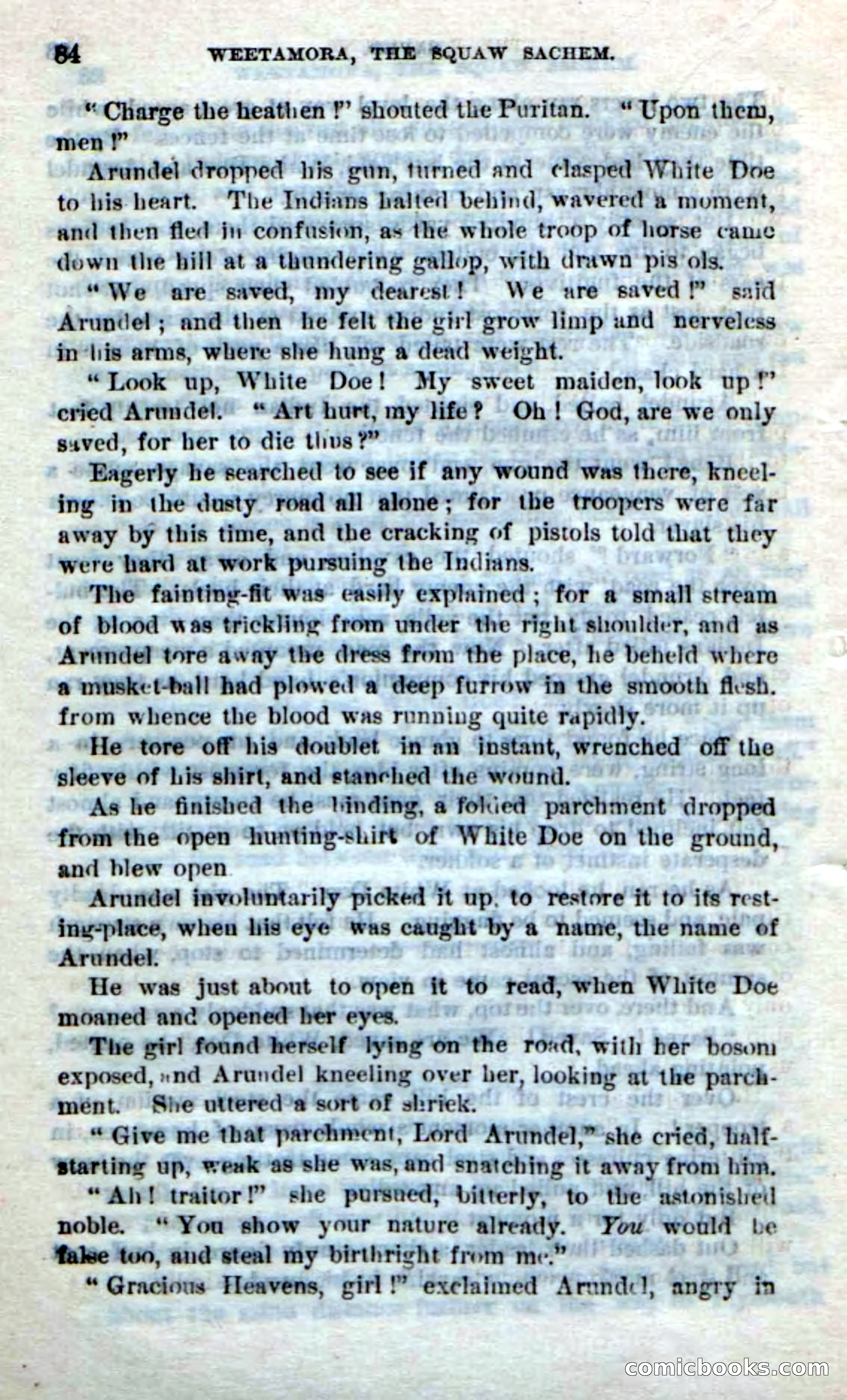 Beadle's Dime Novels No. 249: The Squaw Sachem — page 80 of 100