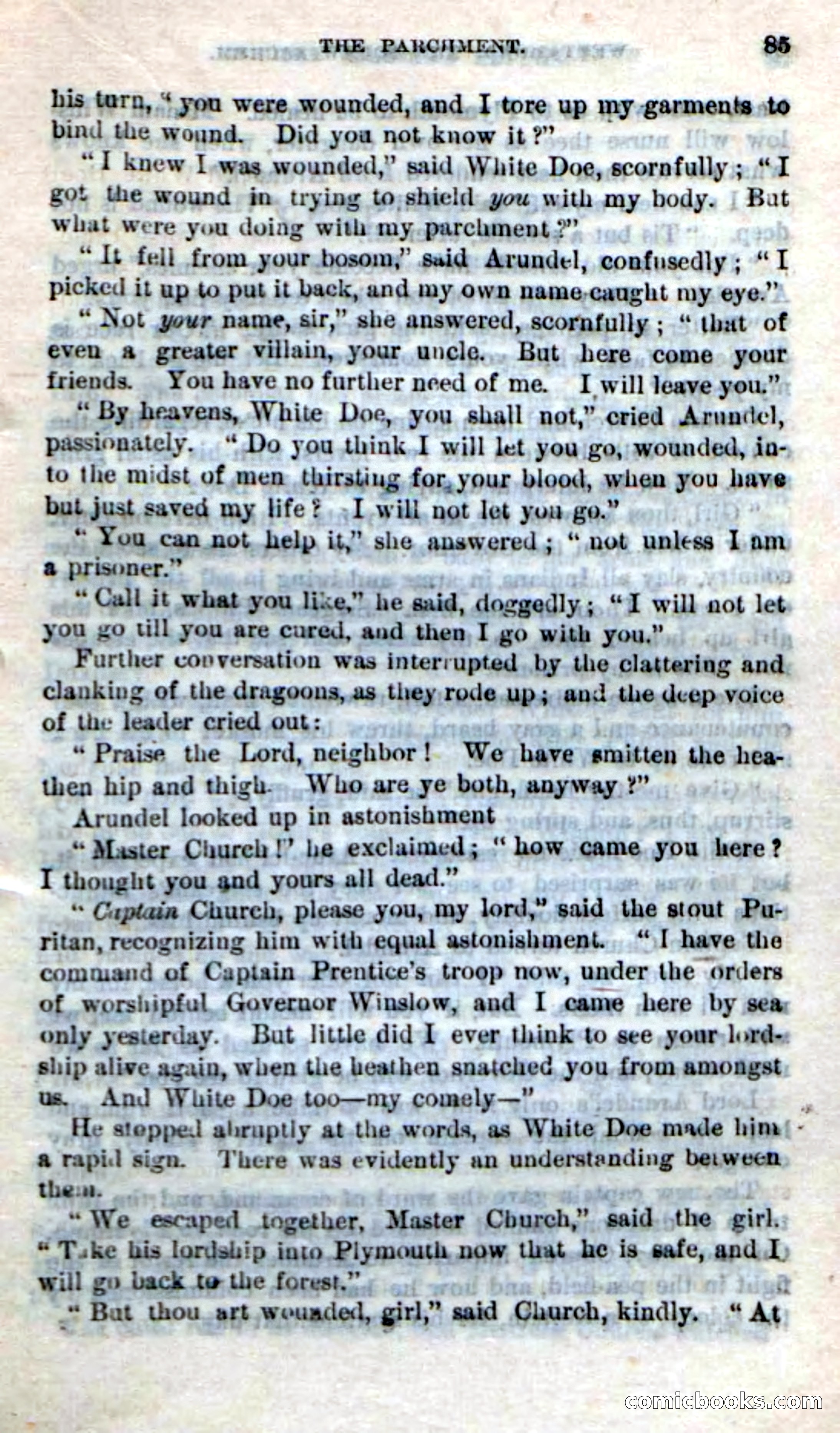 Beadle's Dime Novels No. 249: The Squaw Sachem — page 81 of 100