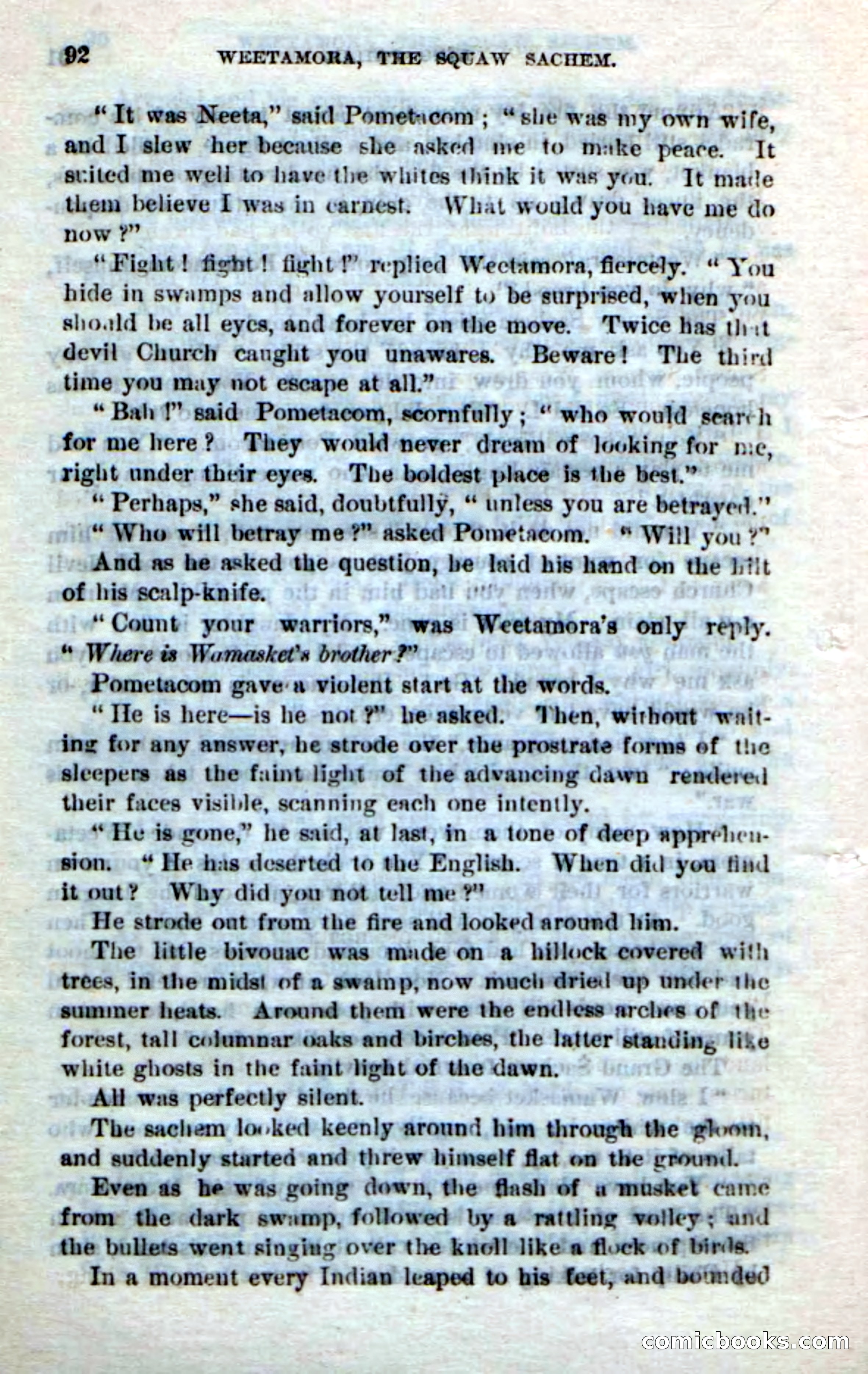 Beadle's Dime Novels No. 249: The Squaw Sachem — page 88 of 100
