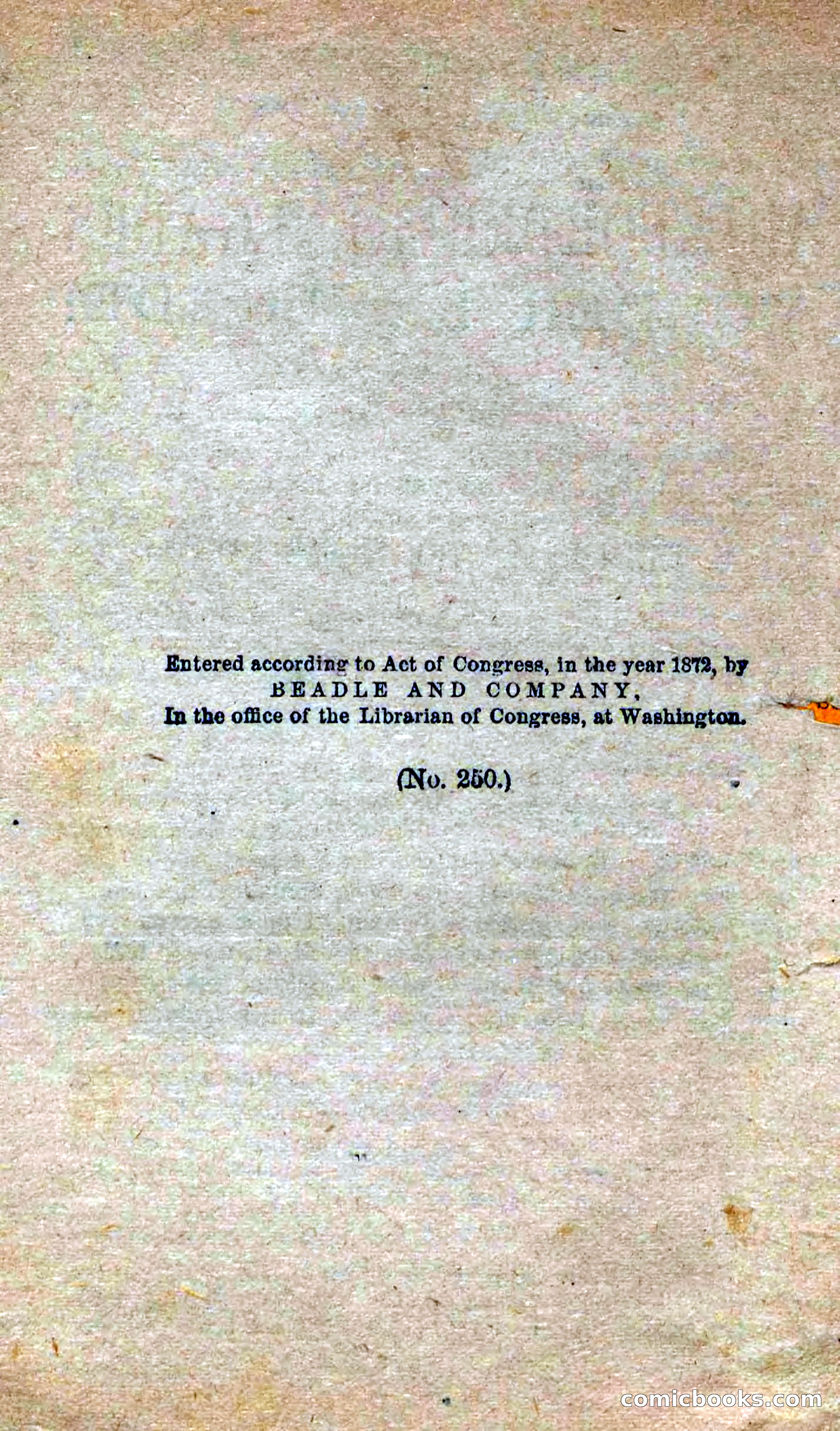 Beadle's Dime Novels No. 250: The Border Renegade — page 4 of 72