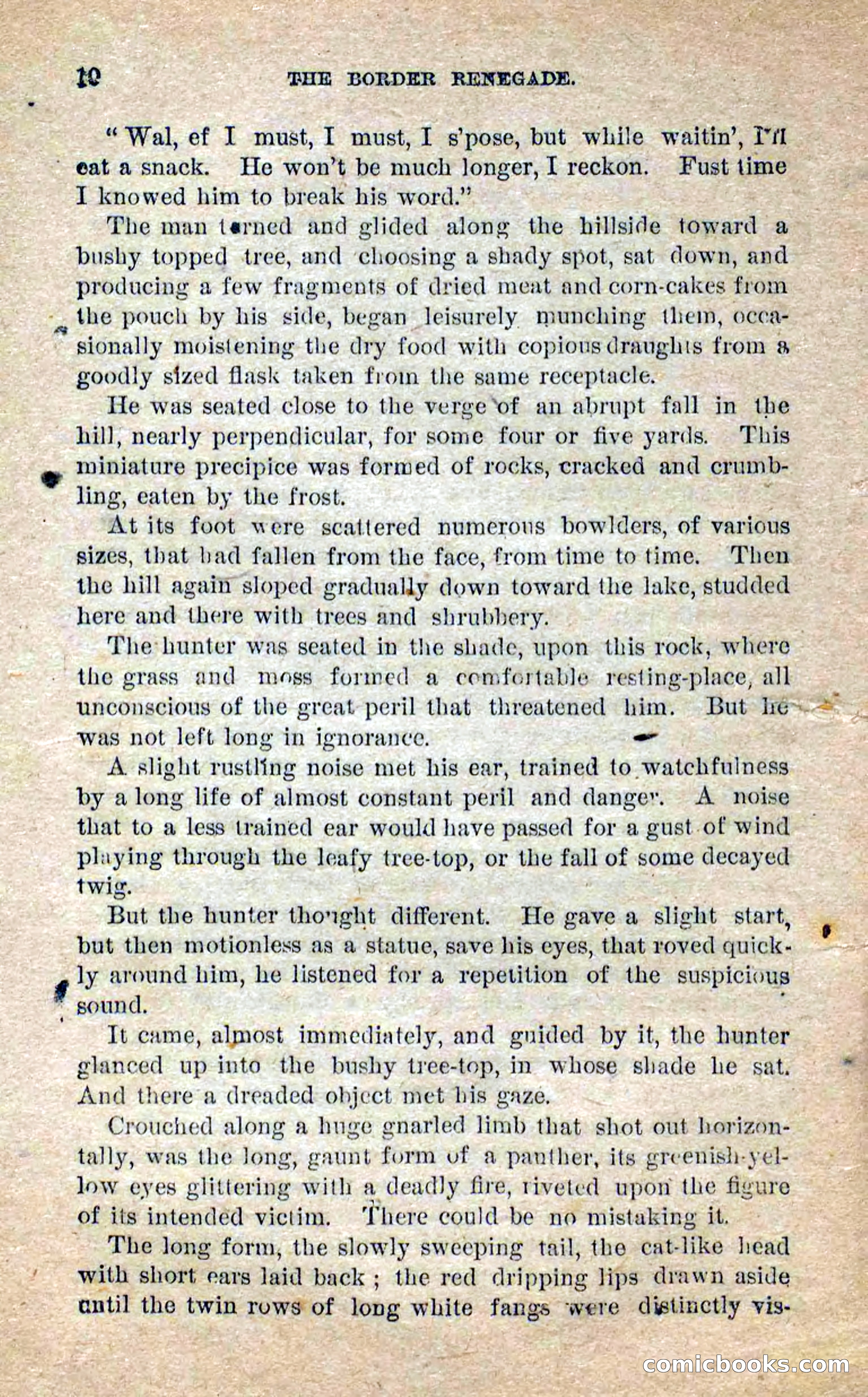 Beadle's Dime Novels No. 250: The Border Renegade — page 6 of 72