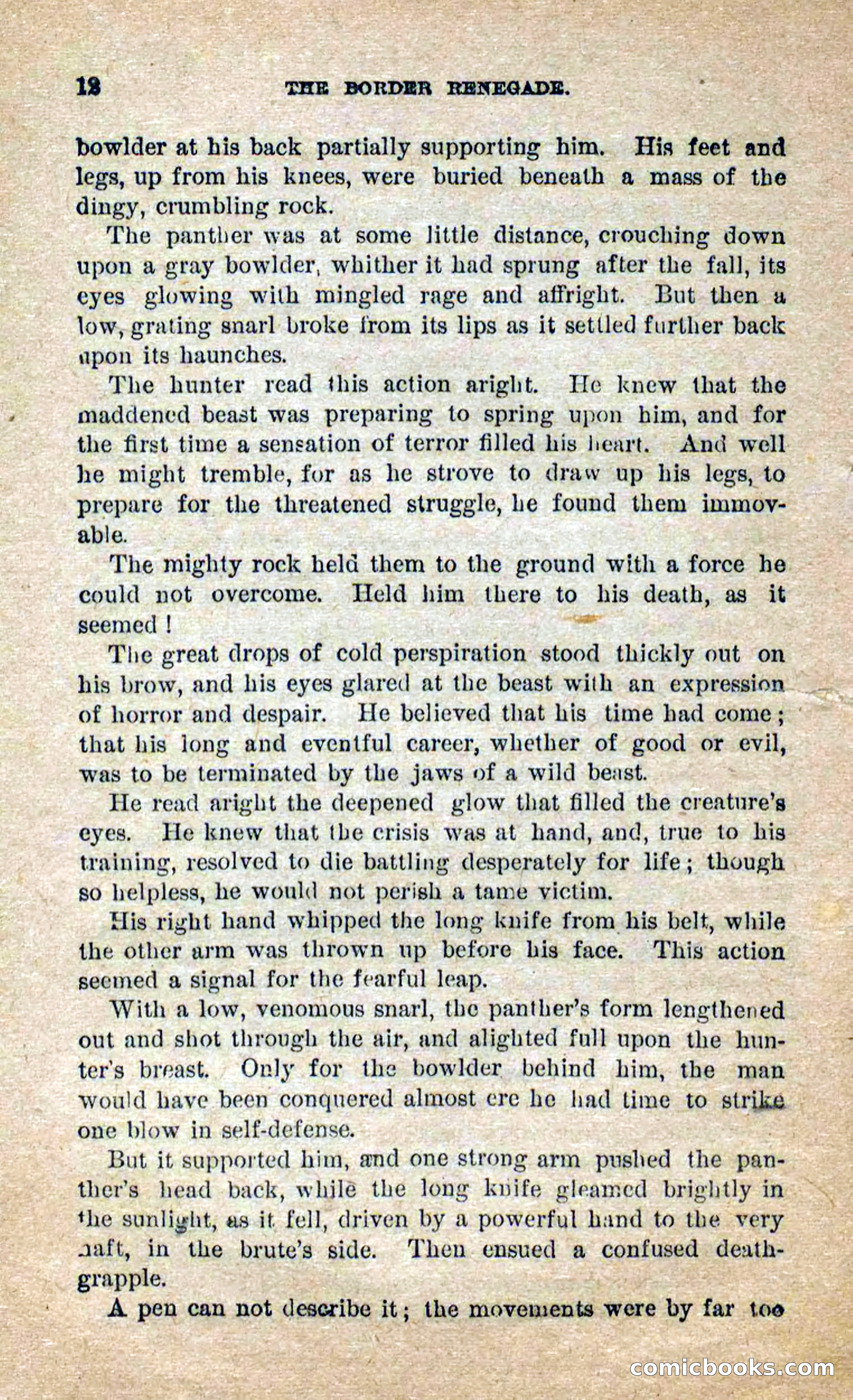 Beadle's Dime Novels No. 250: The Border Renegade — page 8 of 72