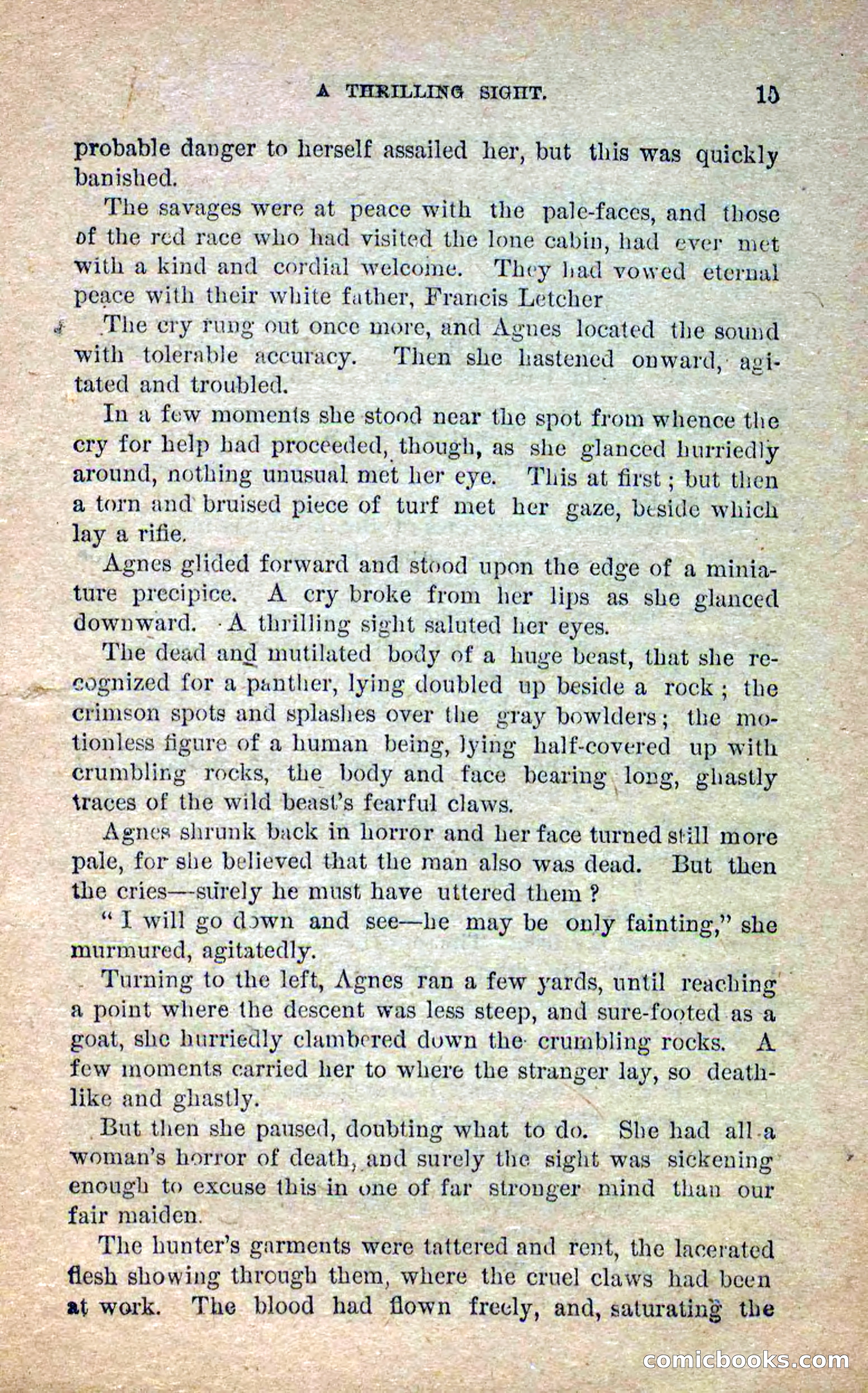 Beadle's Dime Novels No. 250: The Border Renegade — page 11 of 72