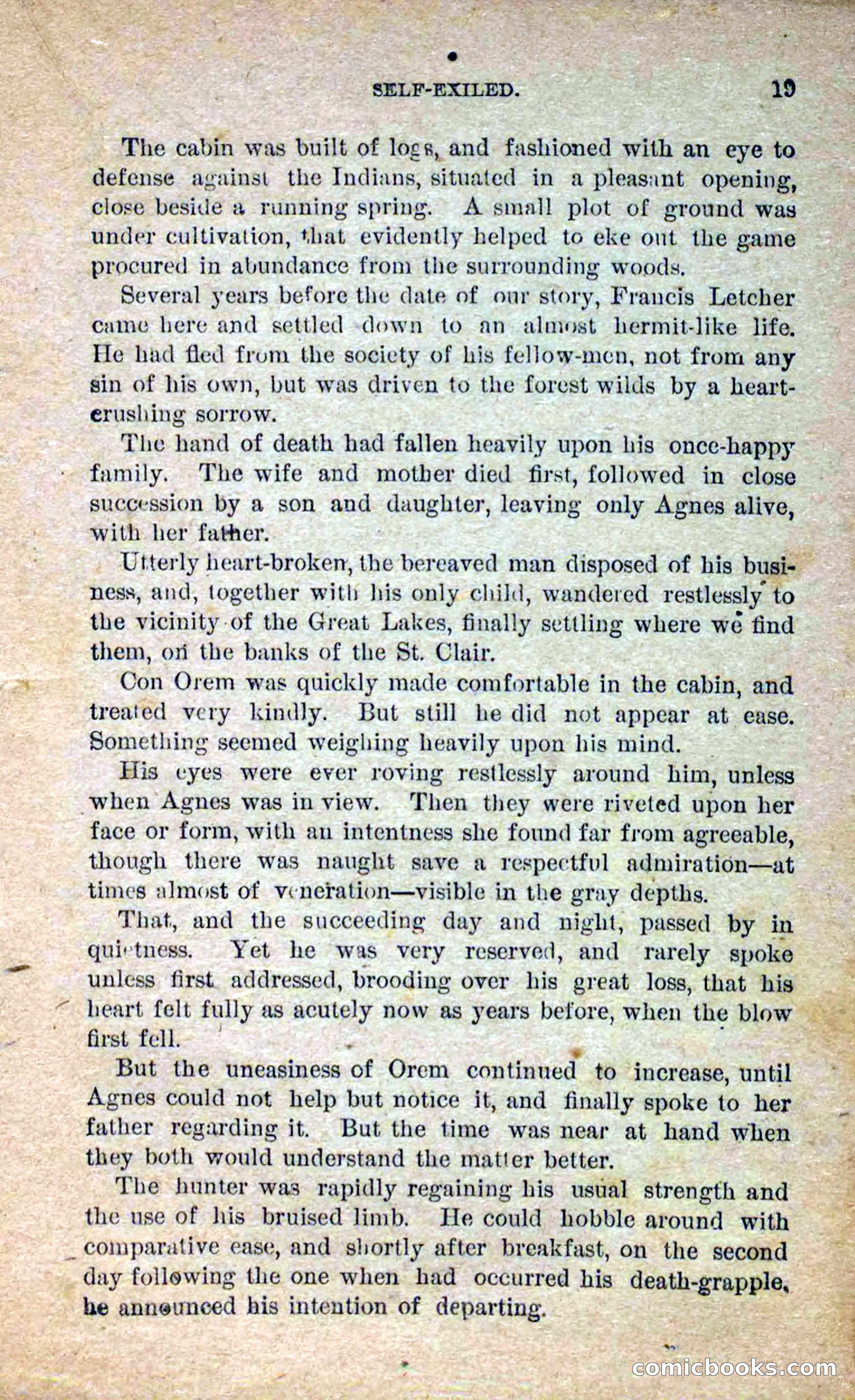 Beadle's Dime Novels No. 250: The Border Renegade — page 15 of 72