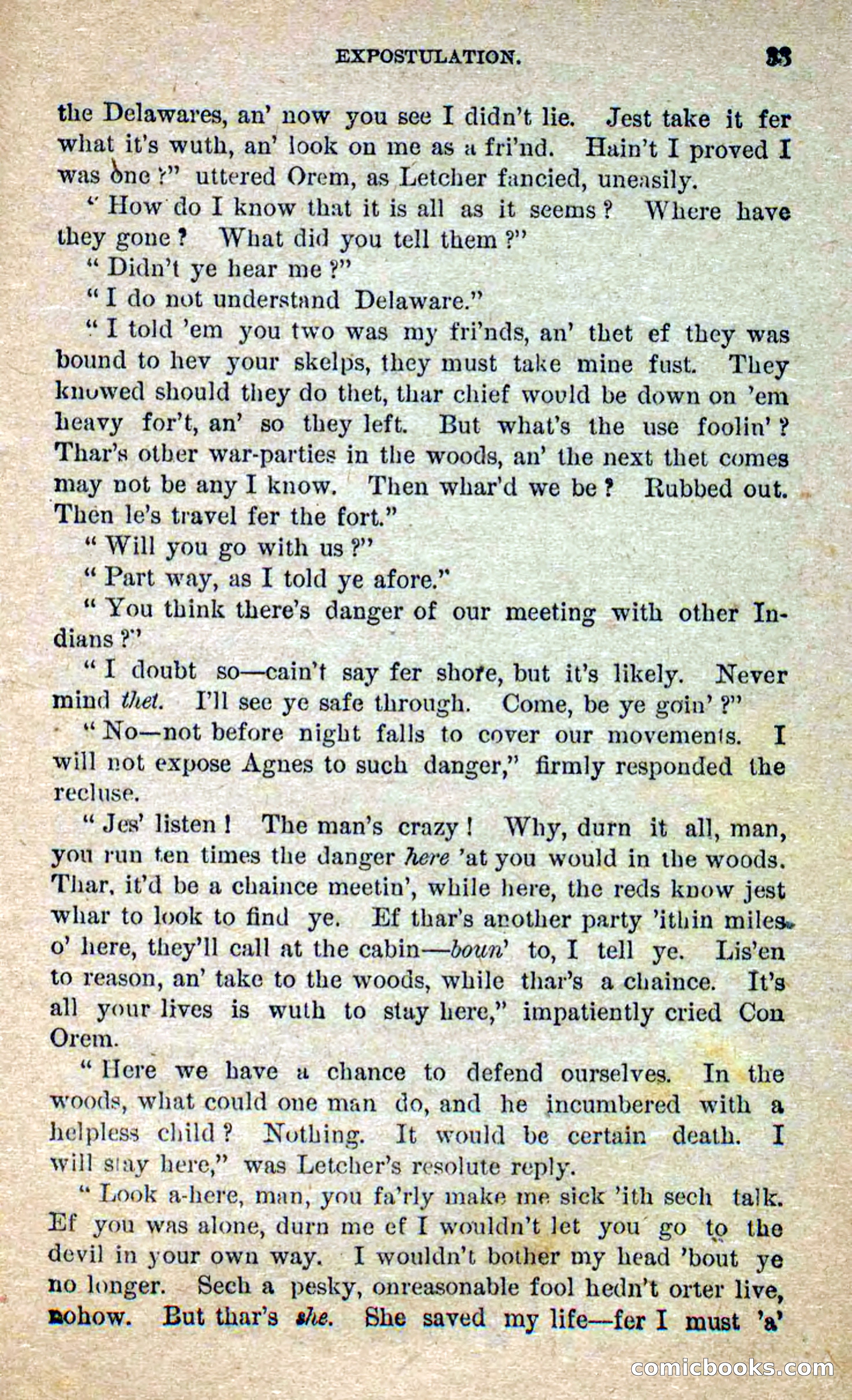 Beadle's Dime Novels No. 250: The Border Renegade — page 29 of 72