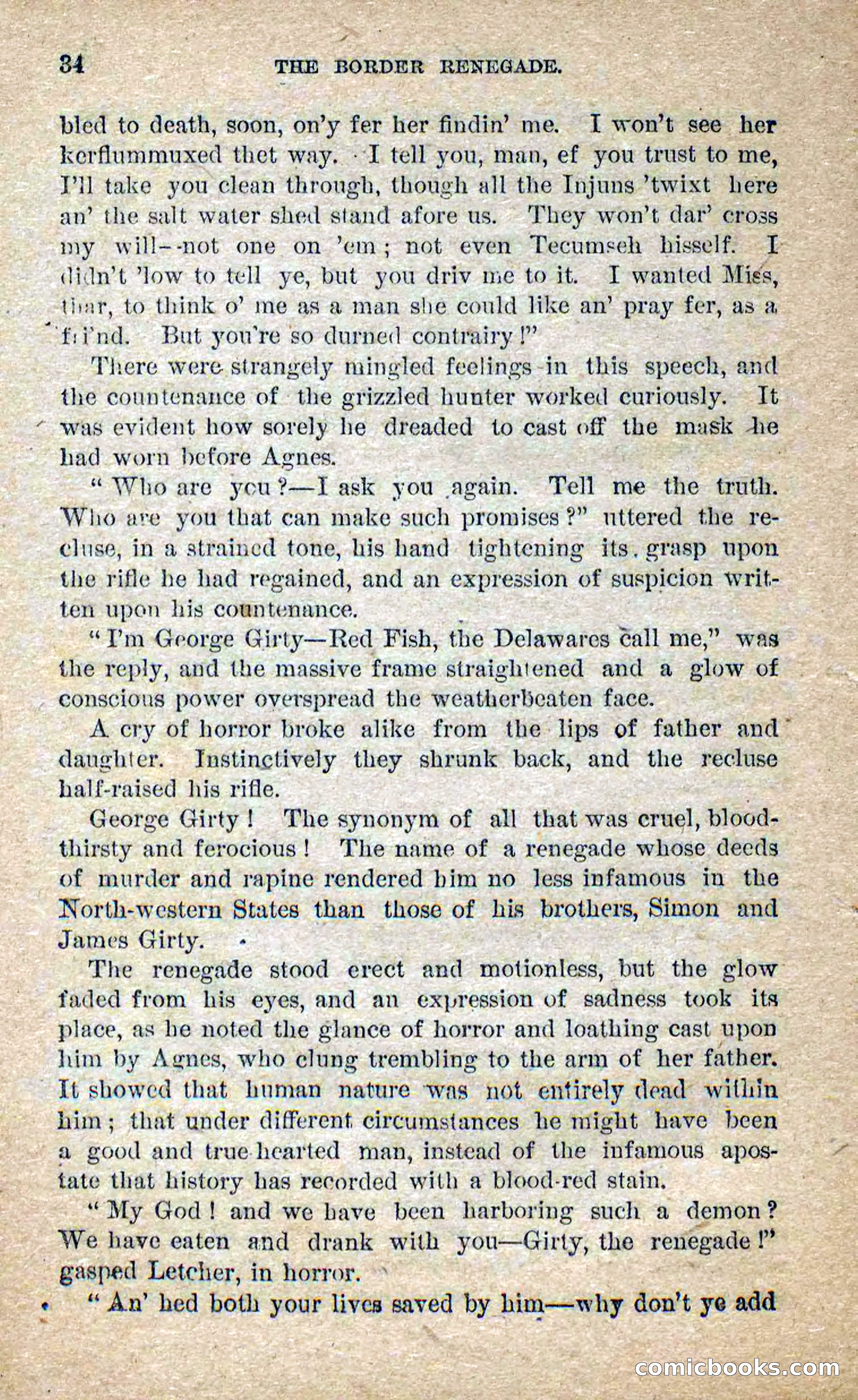 Beadle's Dime Novels No. 250: The Border Renegade — page 30 of 72