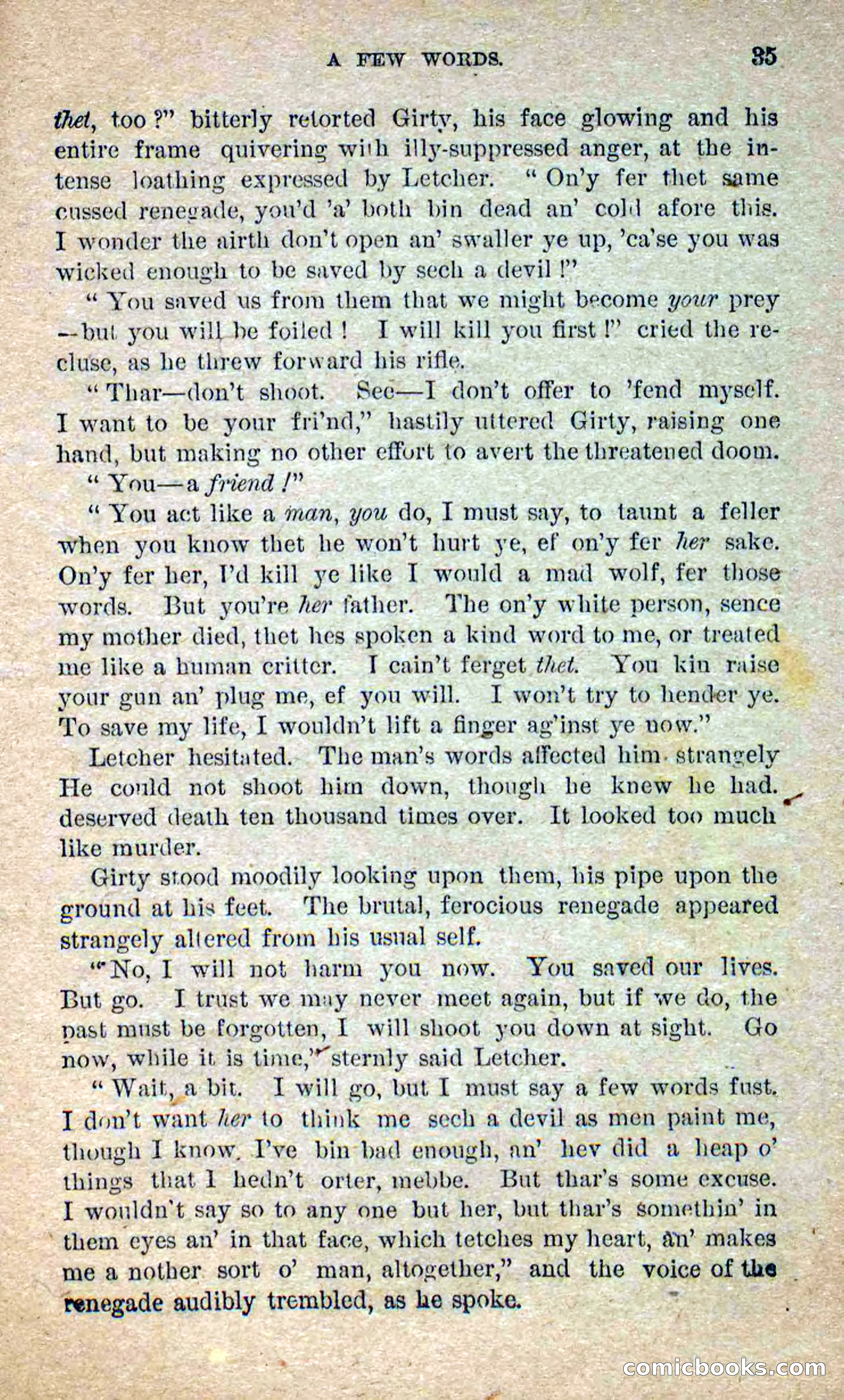 Beadle's Dime Novels No. 250: The Border Renegade — page 31 of 72