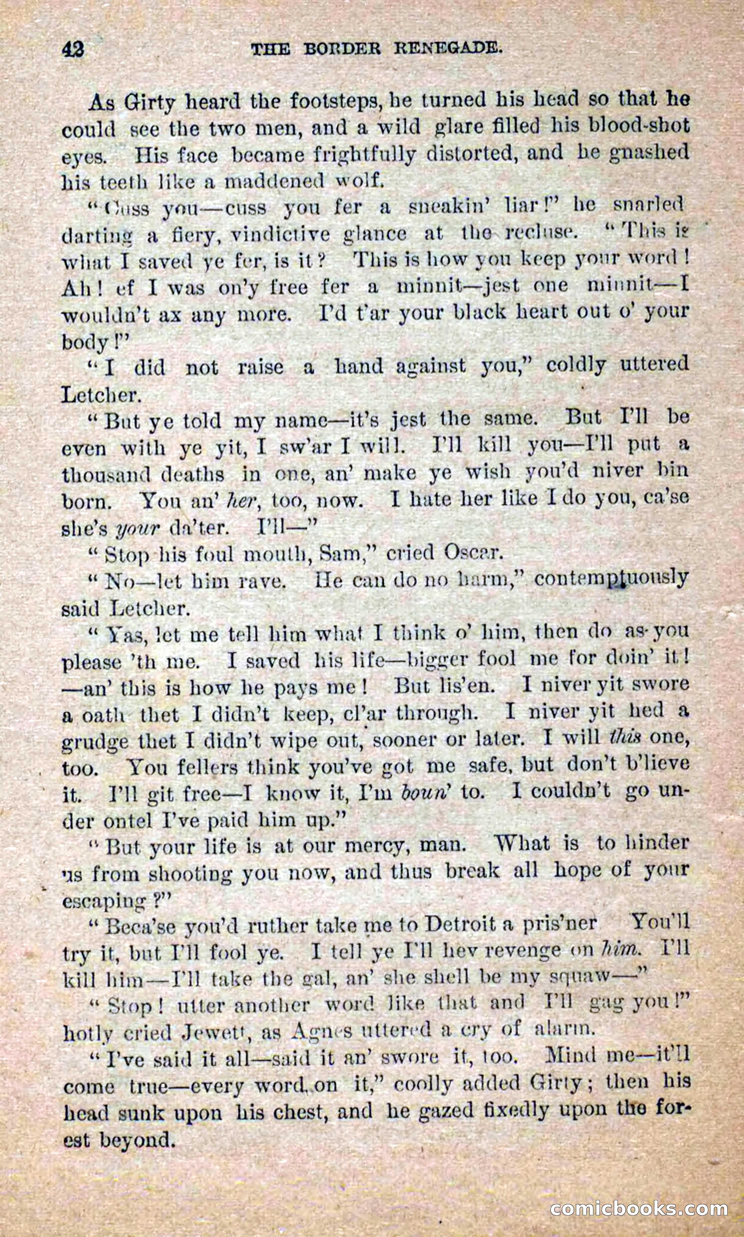 Beadle's Dime Novels No. 250: The Border Renegade — page 38 of 72