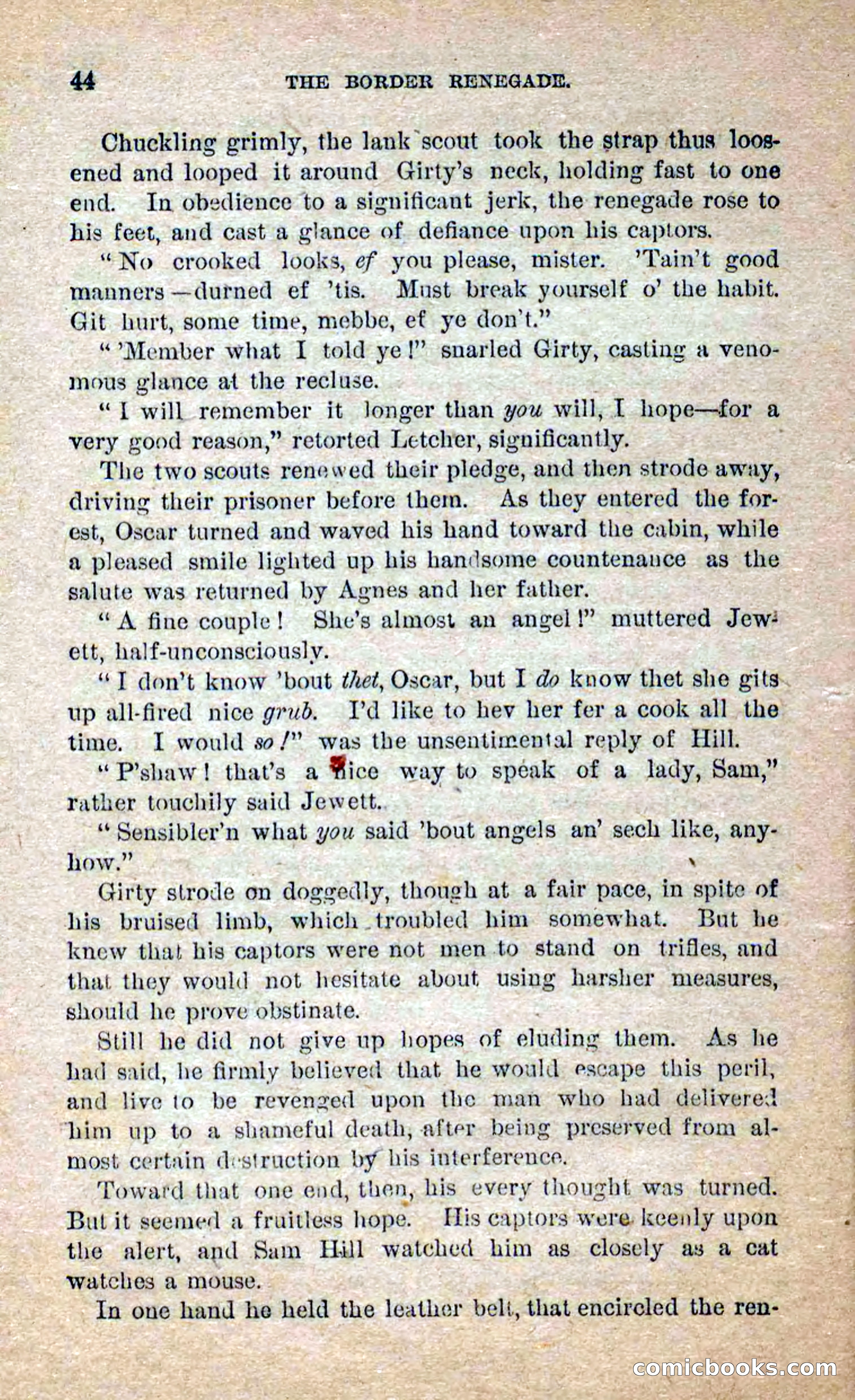 Beadle's Dime Novels No. 250: The Border Renegade — page 40 of 72