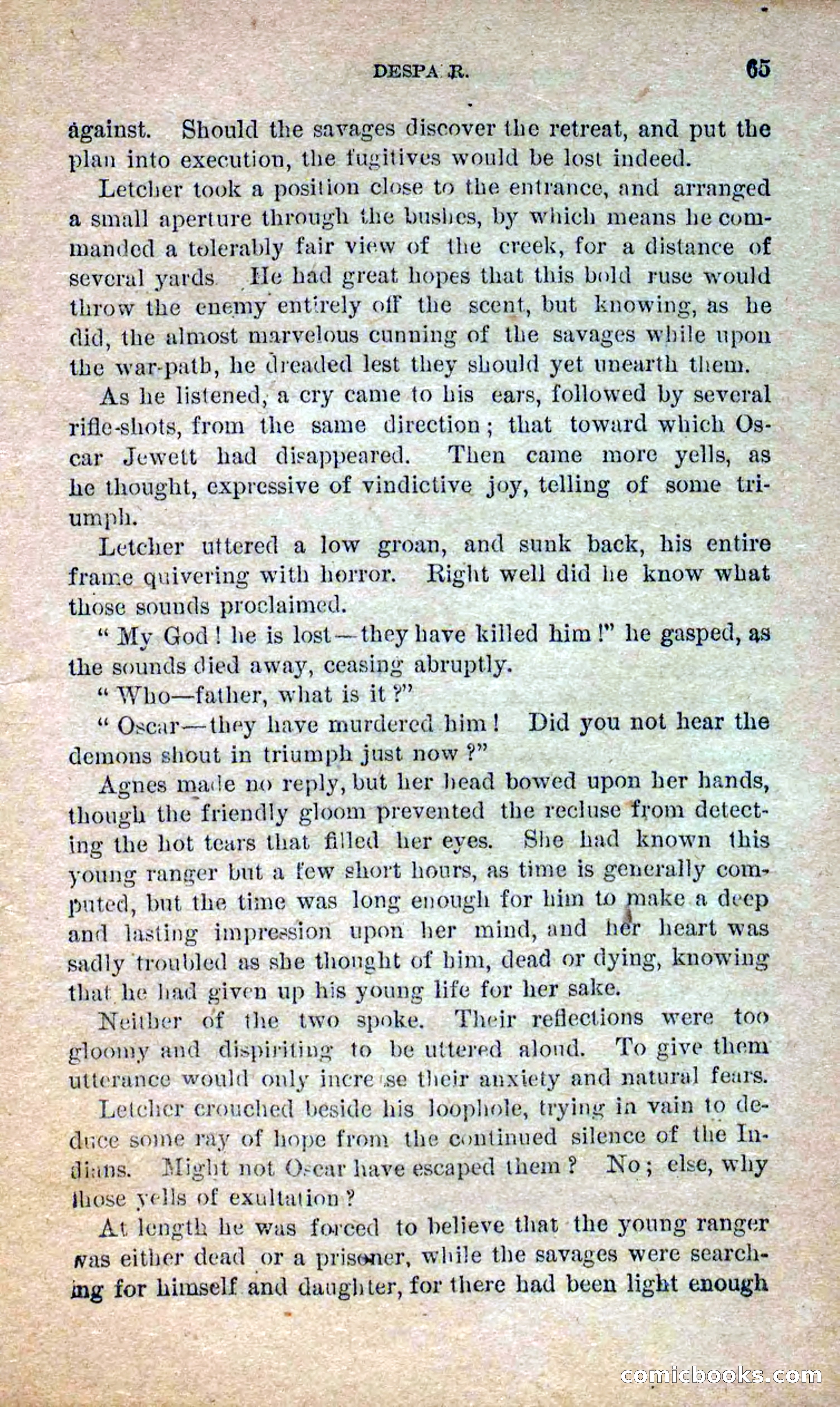 Beadle's Dime Novels No. 250: The Border Renegade — page 61 of 72