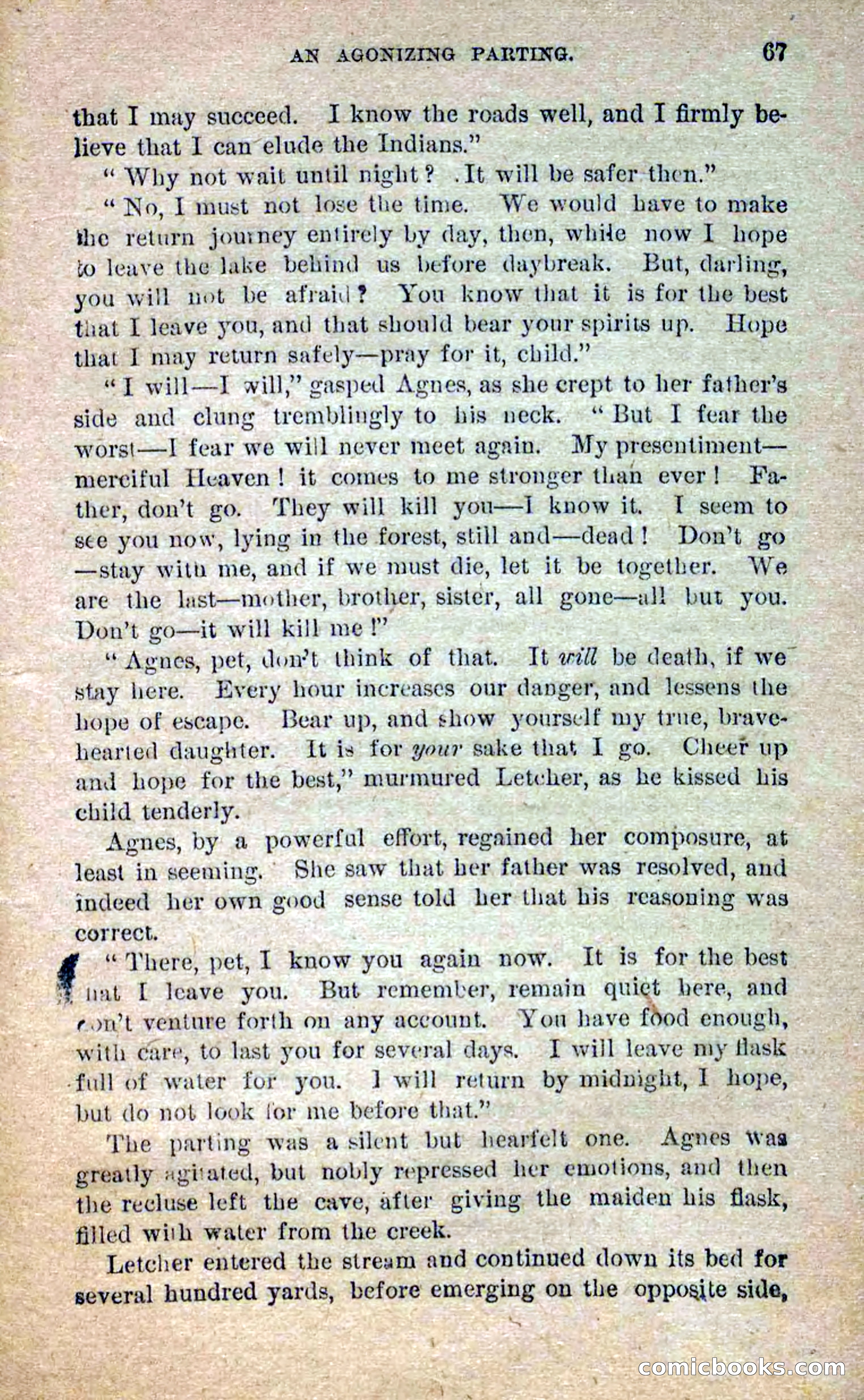 Beadle's Dime Novels No. 250: The Border Renegade — page 63 of 72