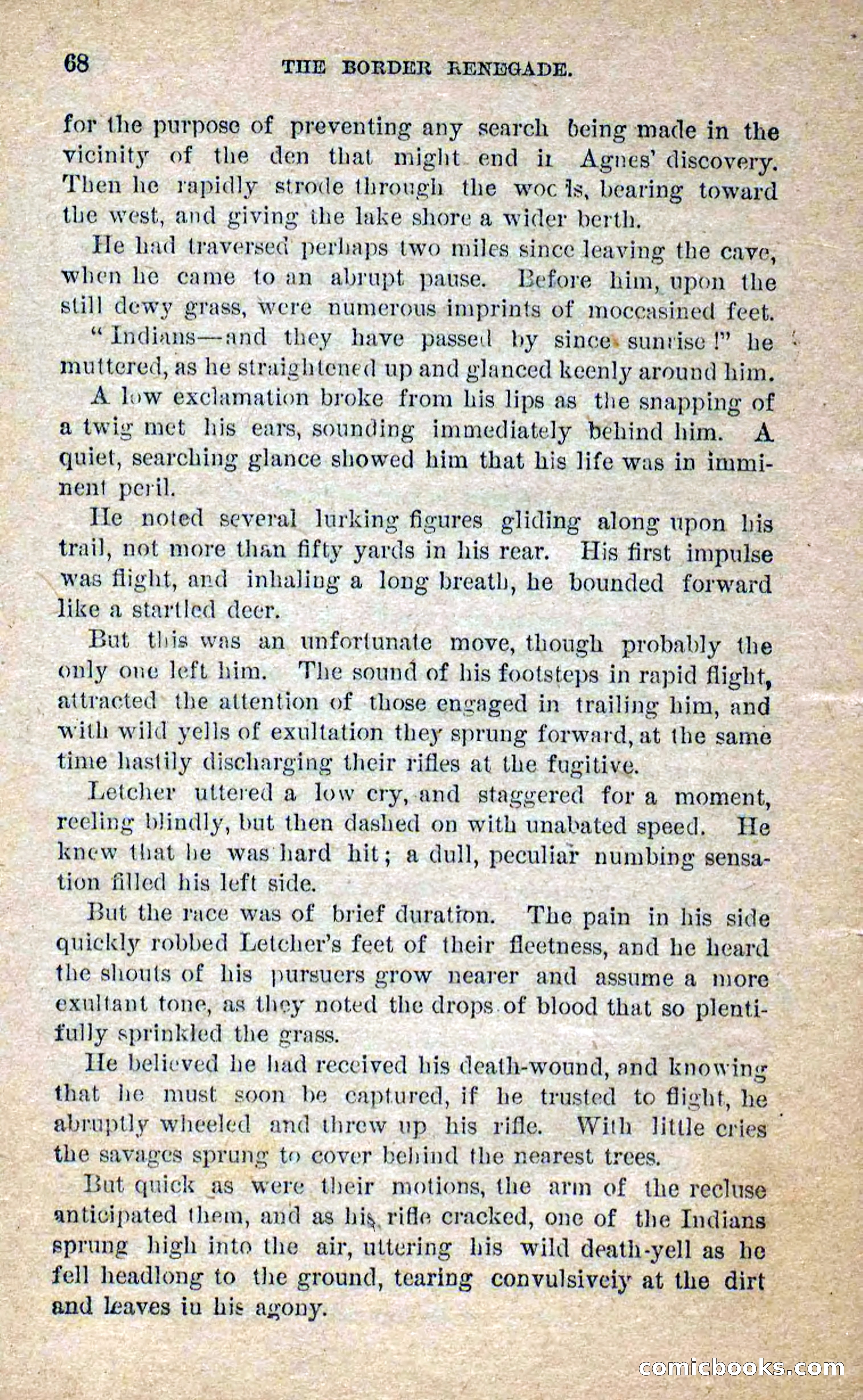 Beadle's Dime Novels No. 250: The Border Renegade — page 64 of 72