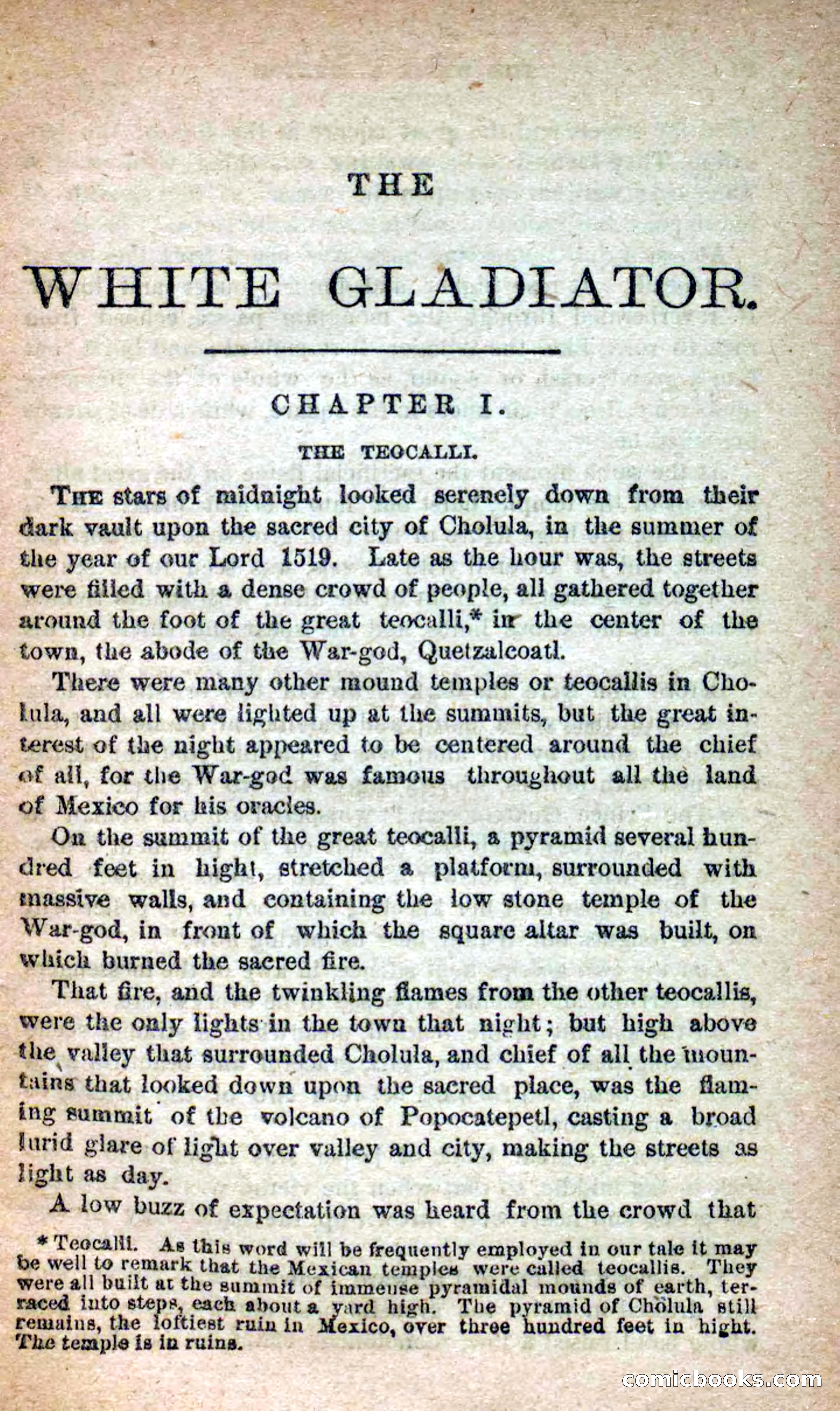 Beadle's Dime Novels No. 253: The White Gladiator — page 5 of 100