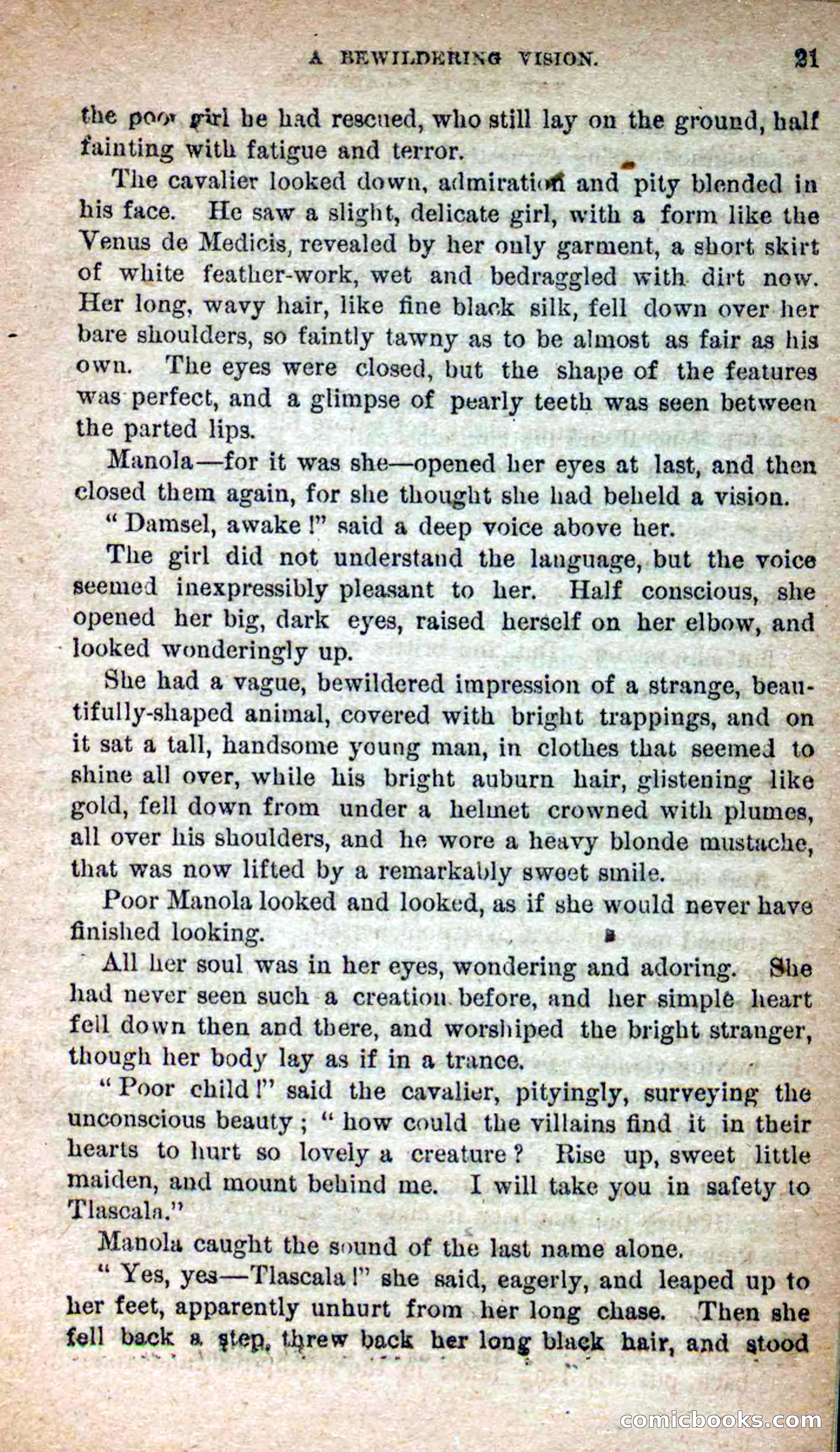 Beadle's Dime Novels No. 253: The White Gladiator — page 17 of 100