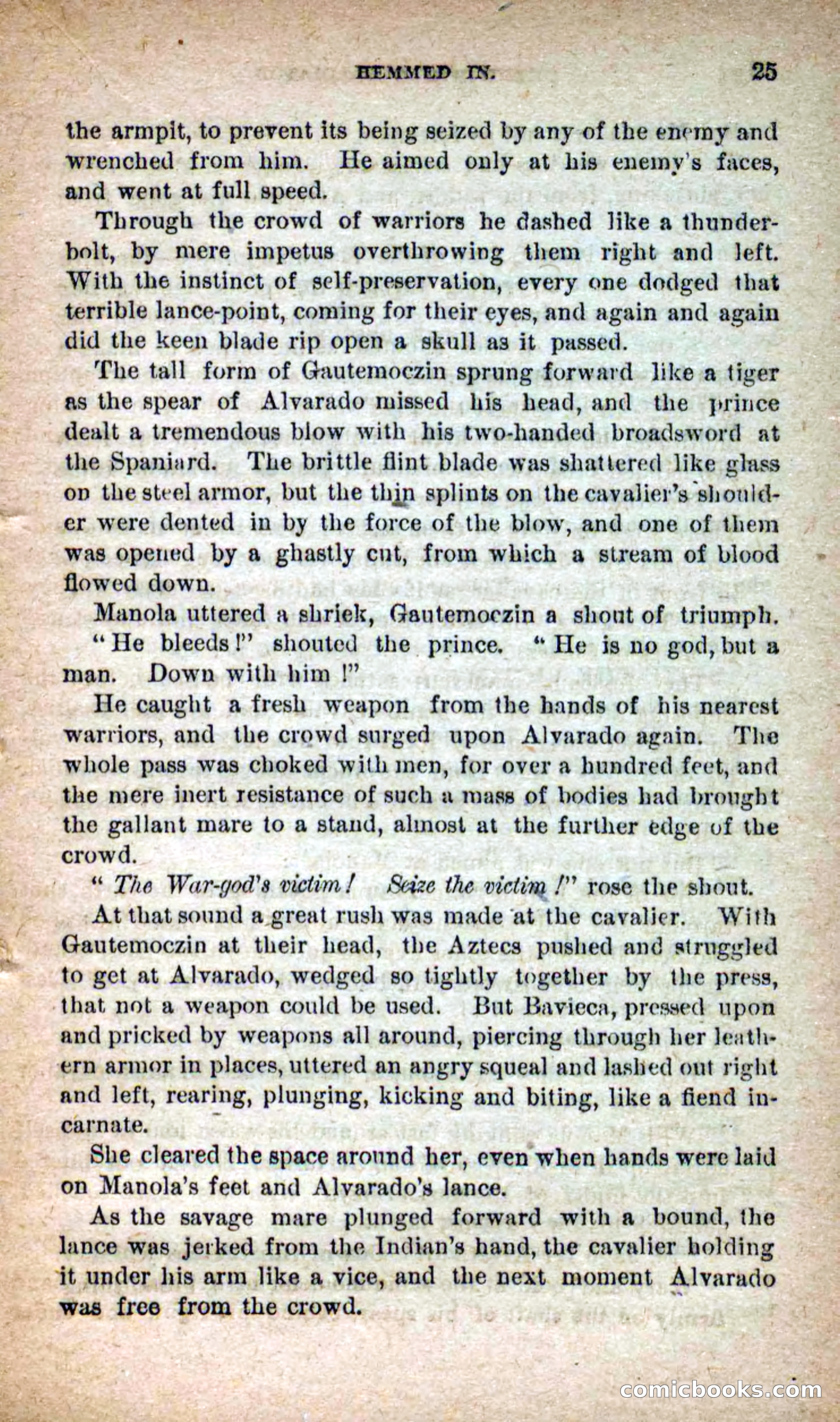 Beadle's Dime Novels No. 253: The White Gladiator — page 21 of 100