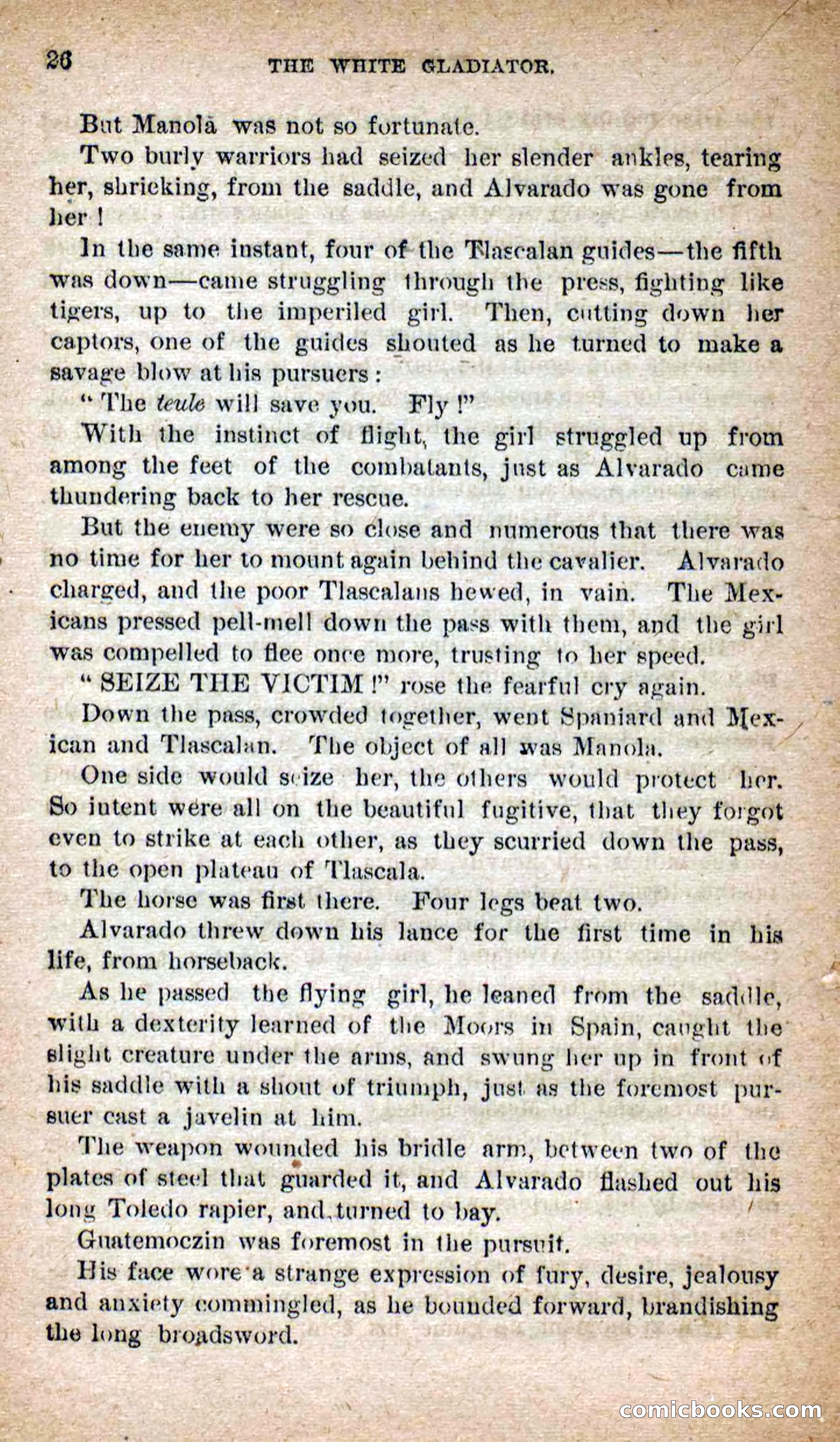 Beadle's Dime Novels No. 253: The White Gladiator — page 22 of 100