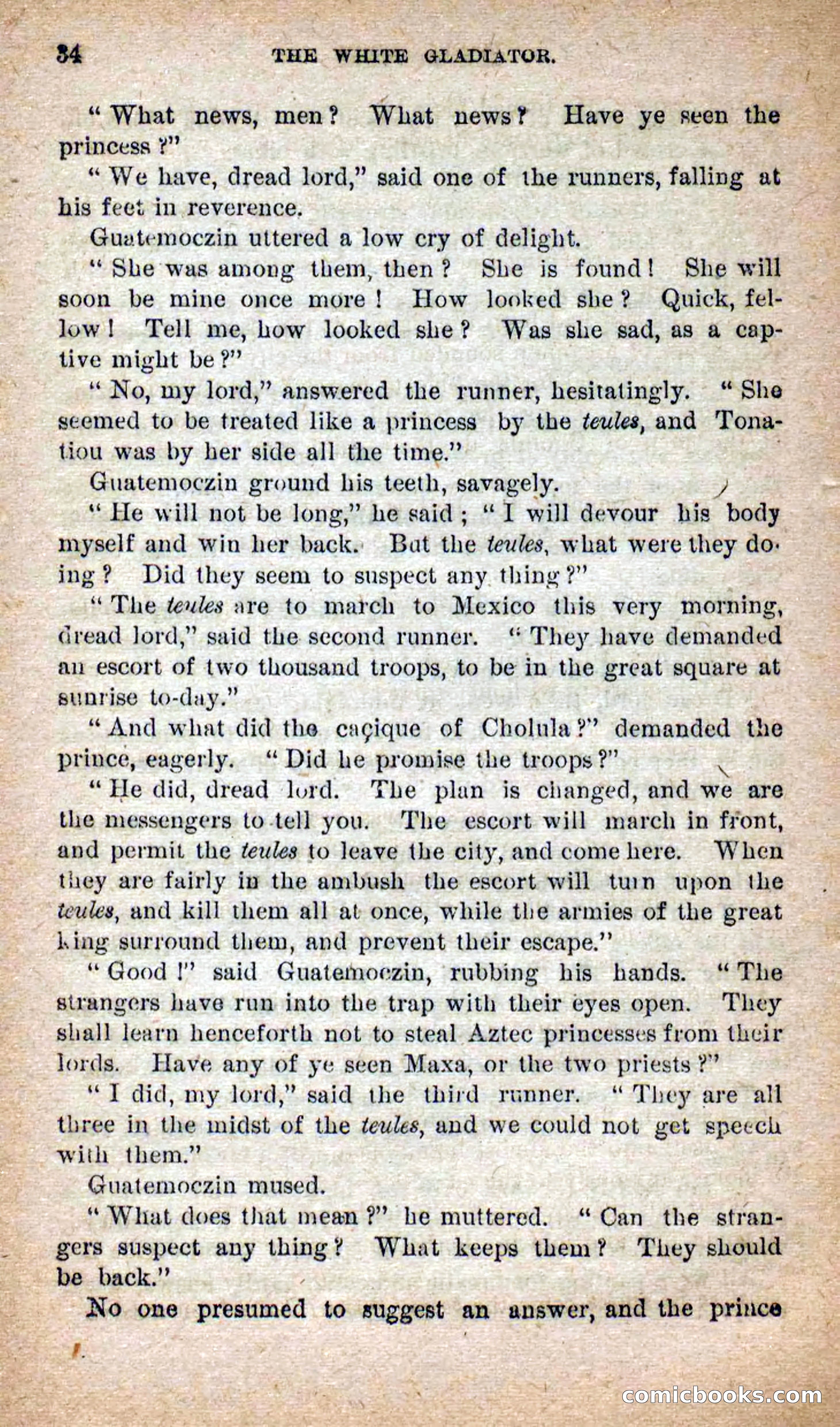 Beadle's Dime Novels No. 253: The White Gladiator — page 30 of 100