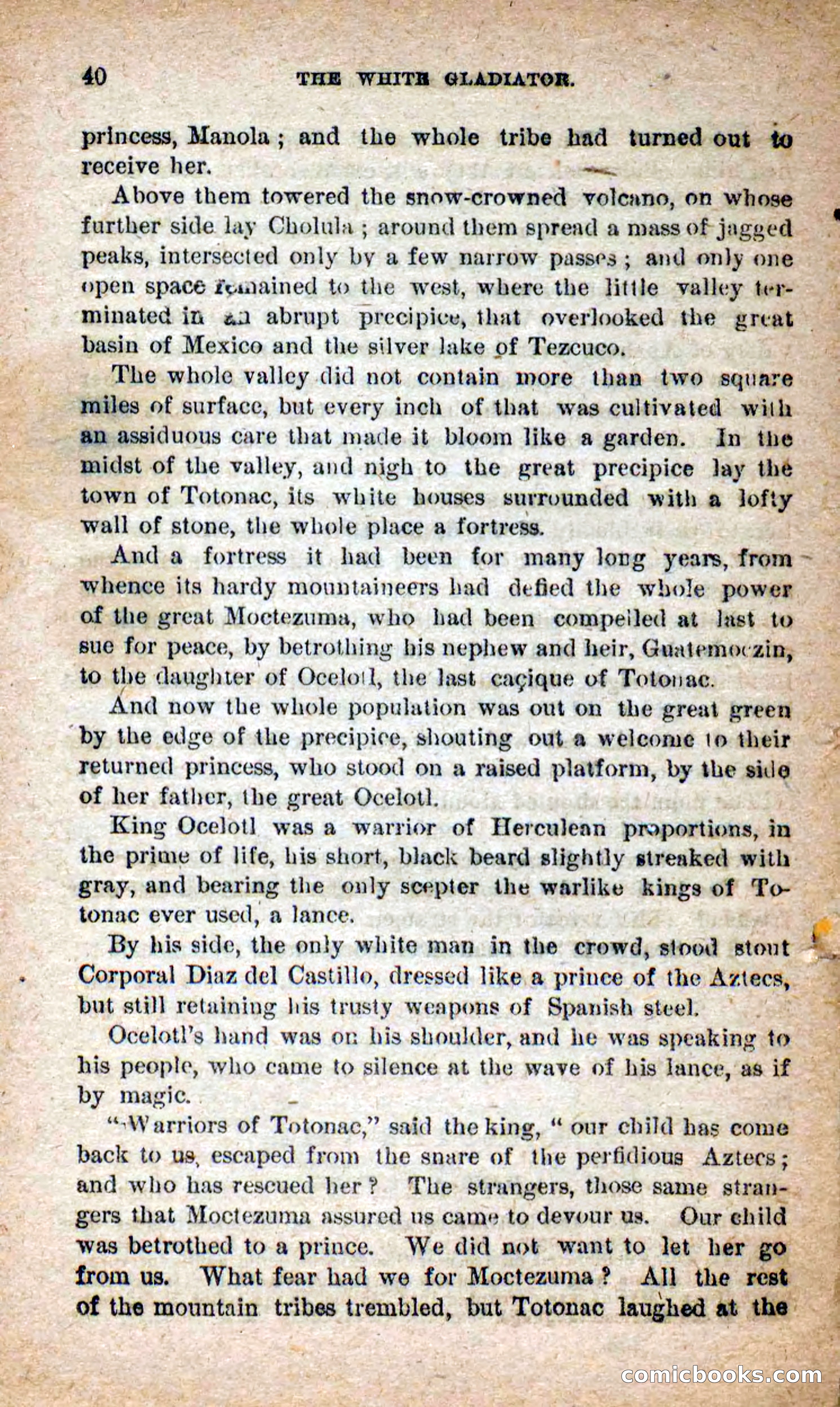 Beadle's Dime Novels No. 253: The White Gladiator — page 36 of 100