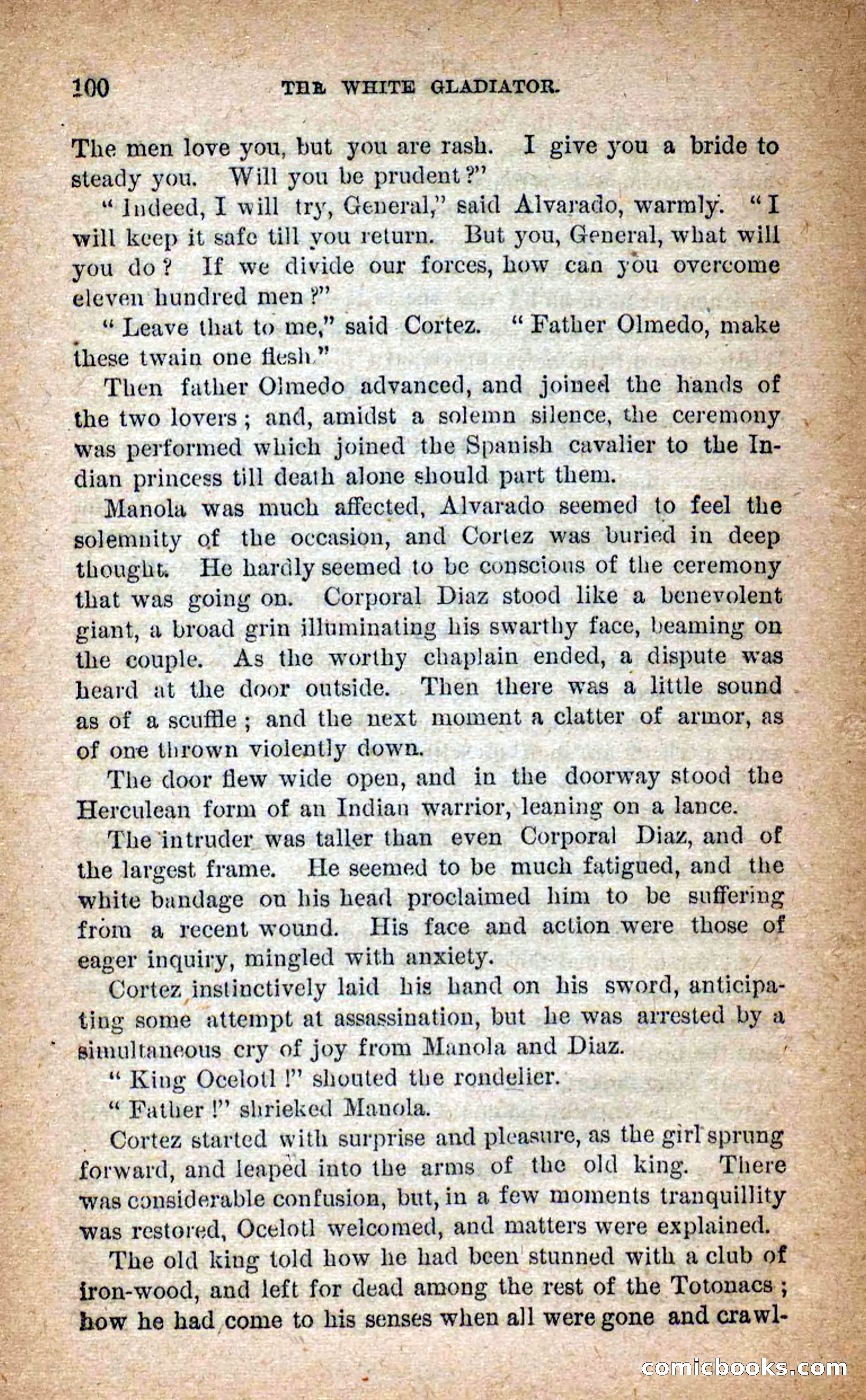 Beadle's Dime Novels No. 253: The White Gladiator — page 96 of 100