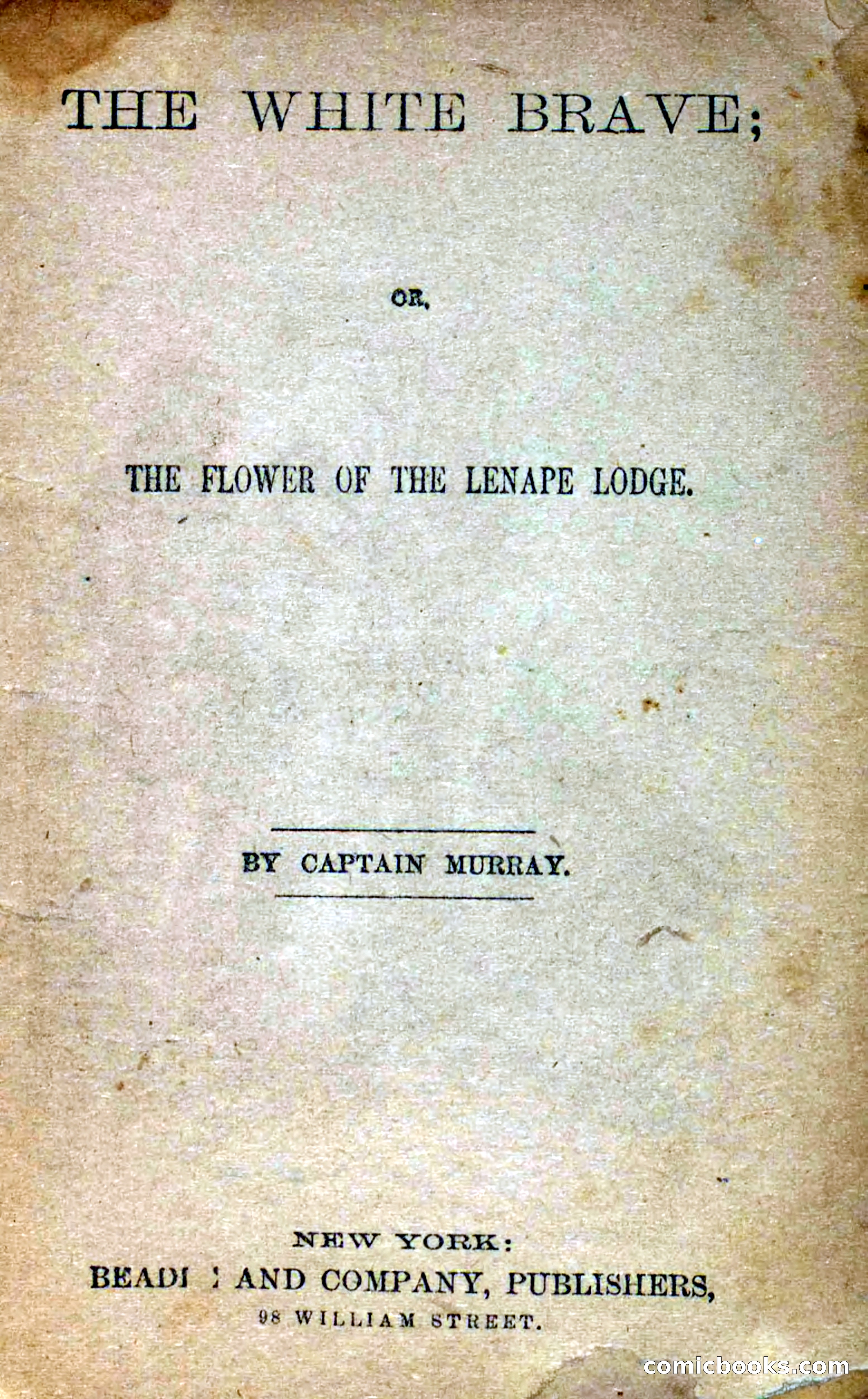 Beadle's Dime Novels No. 258: The White Brave — page 5 of 100